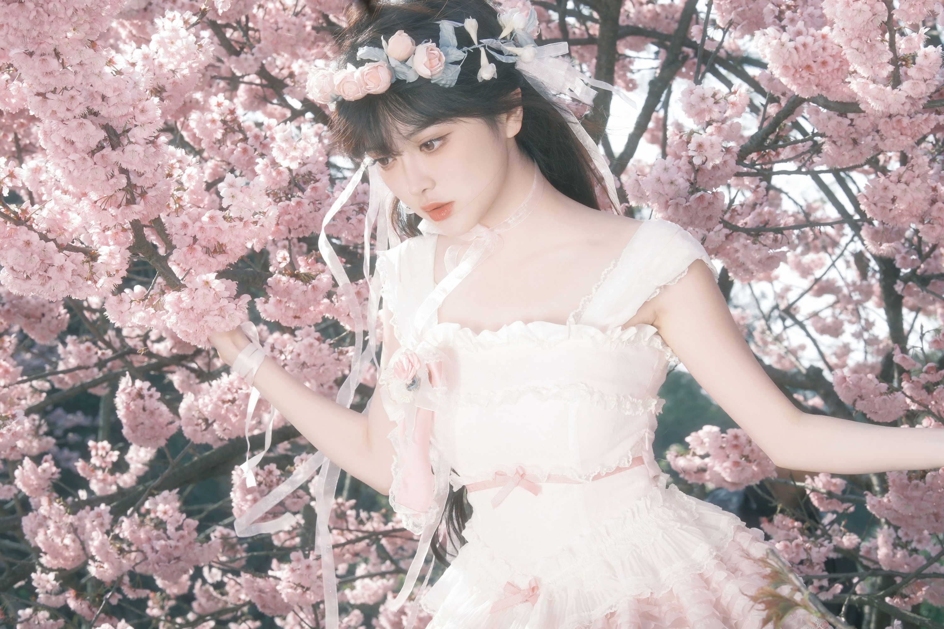 星之卡桃 – 《樱花少女梦》[28P]