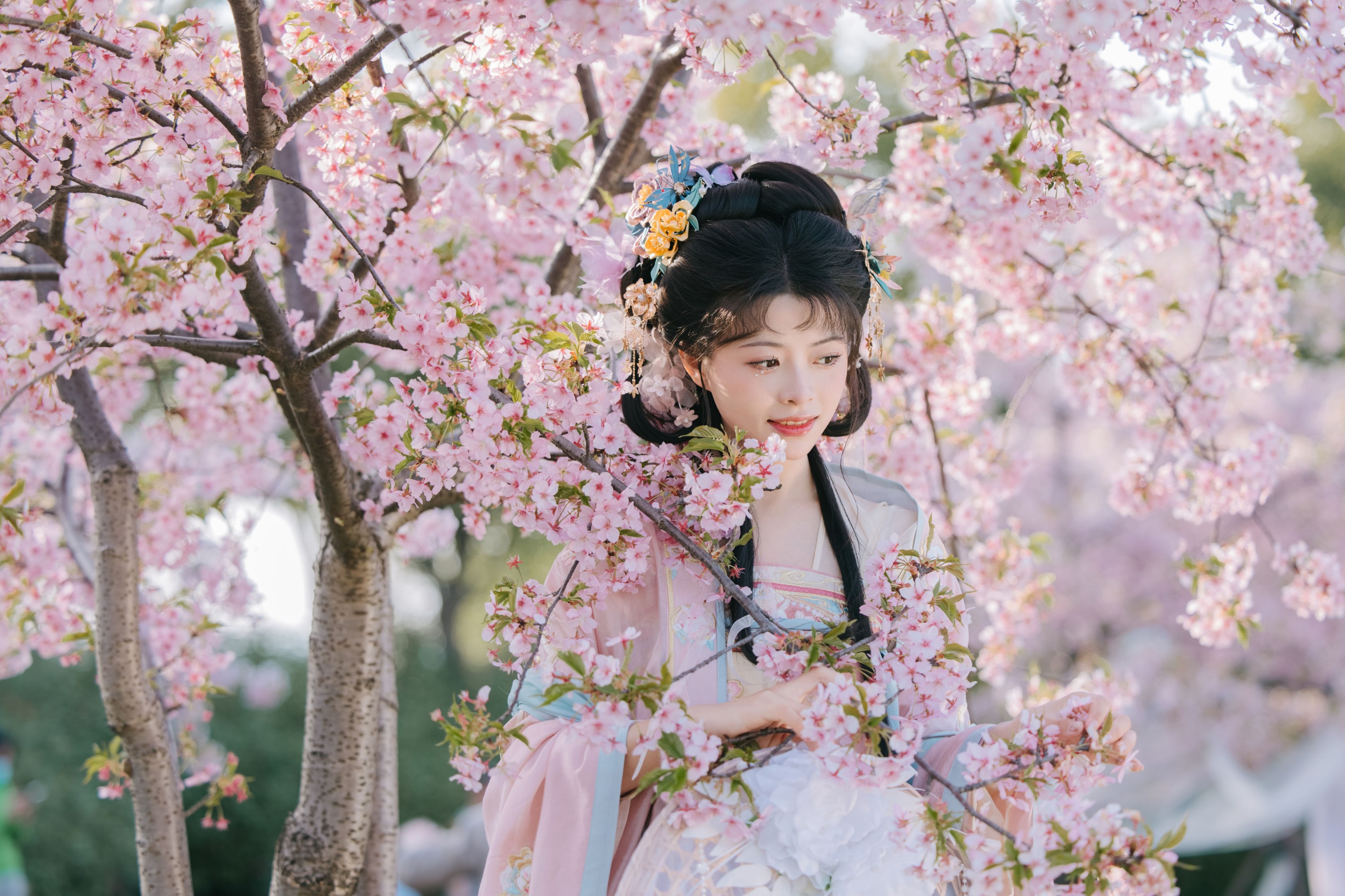 姚姚 – 《樱花雨》[22P]