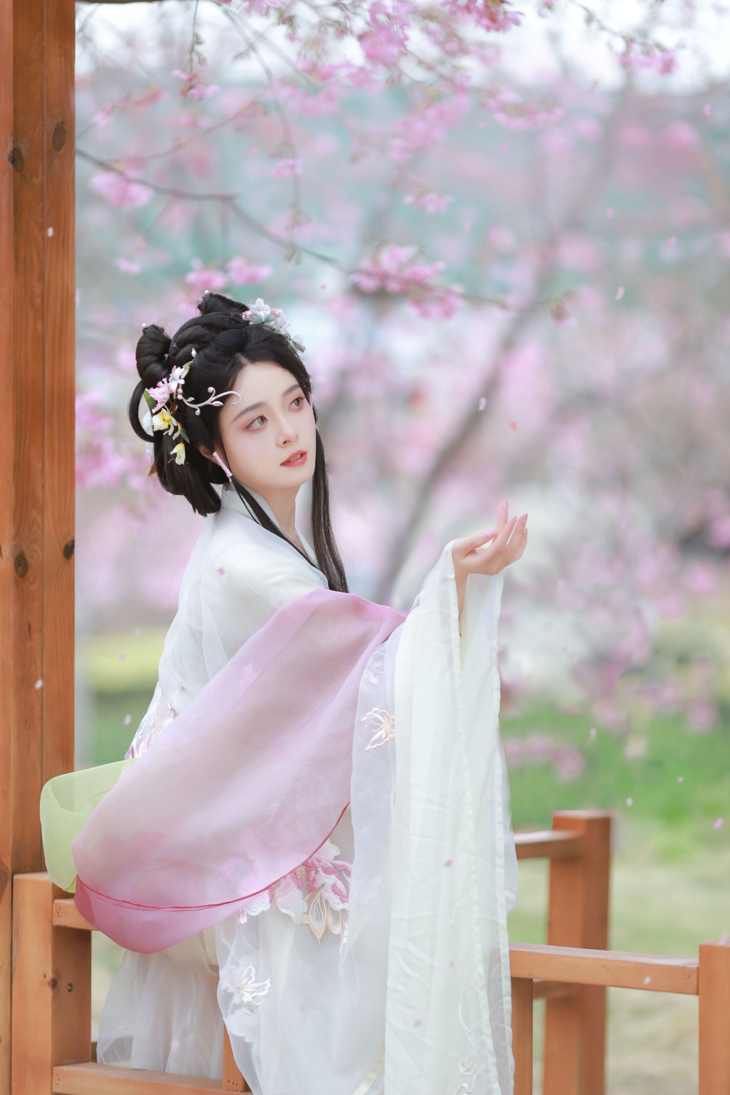 岁岁如意 – 《樱花雨》[22P]