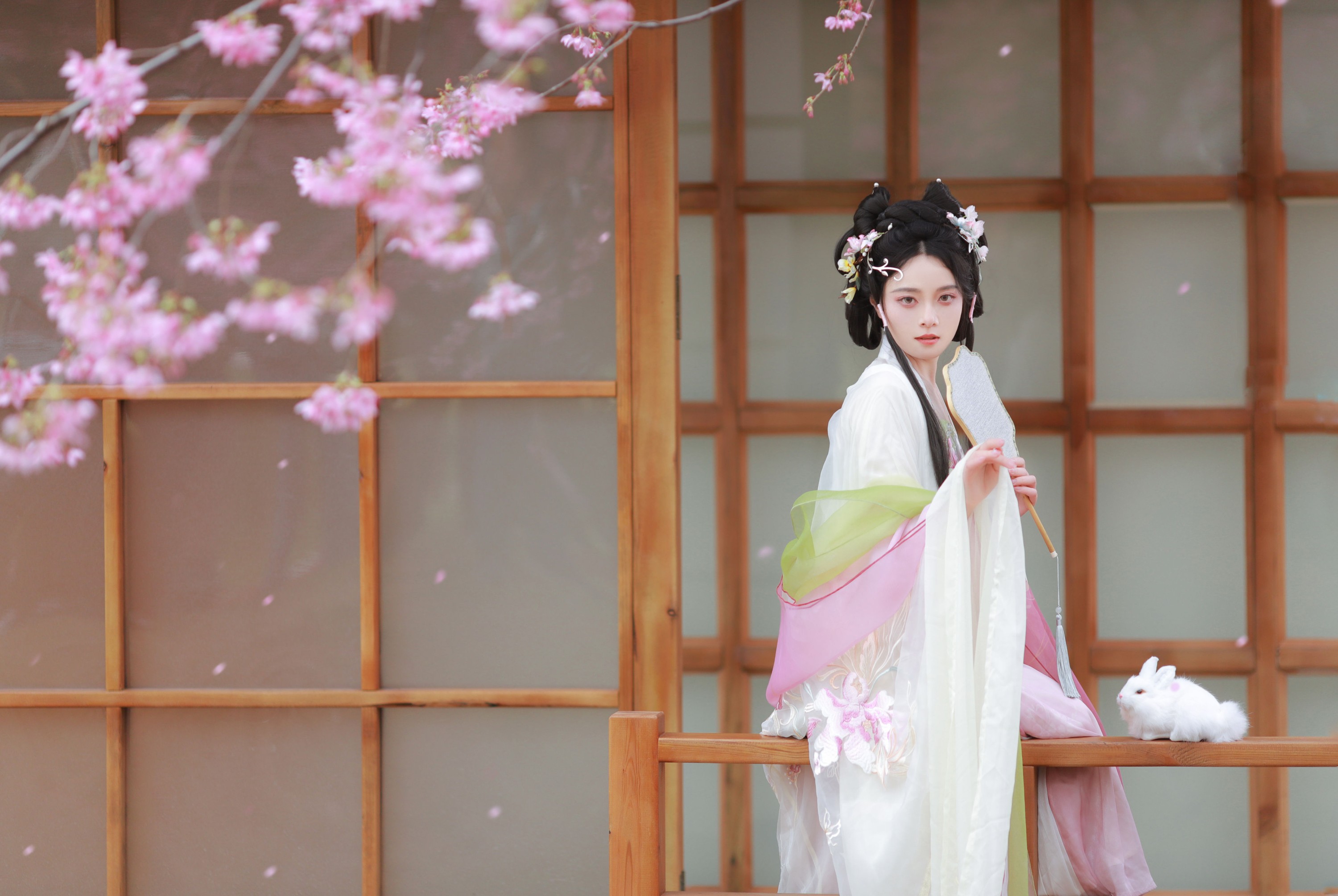 岁岁如意 – 《樱花雨》[22P]