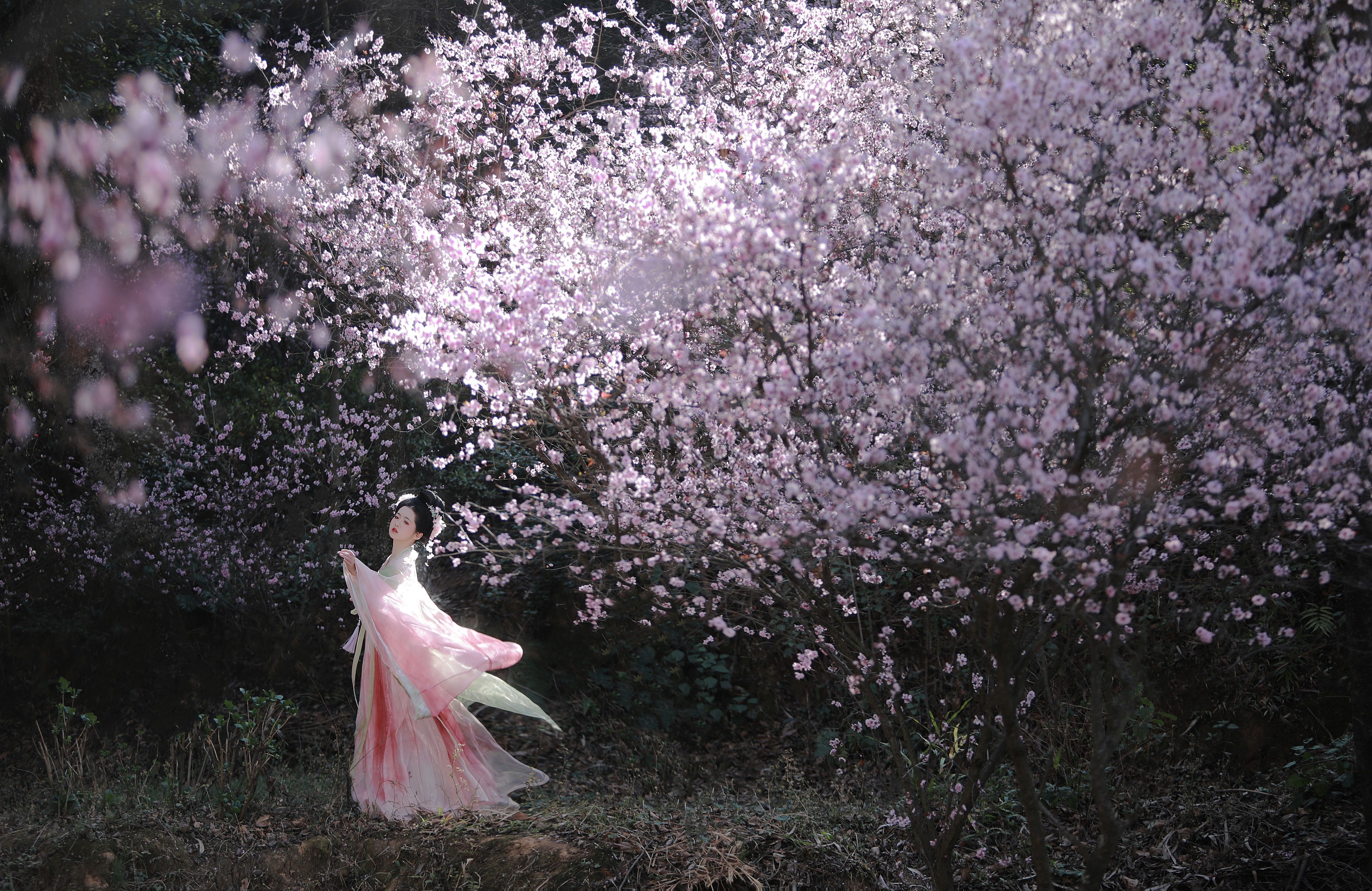 一枝眠眠 – 《春有百花秋有月》[25P]