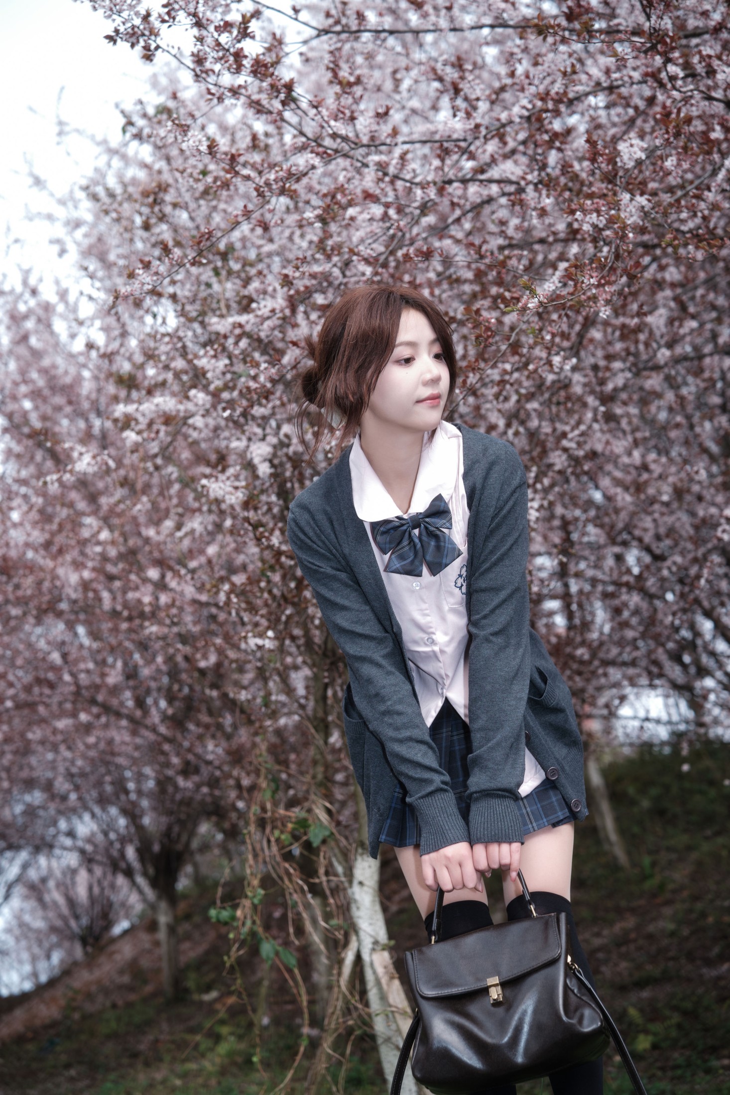 佳佳 – 《紫叶李jk》[31P]