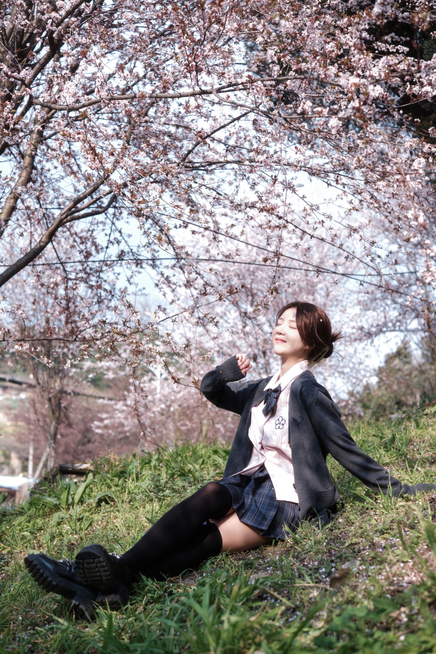 佳佳 – 《紫叶李jk》[31P]