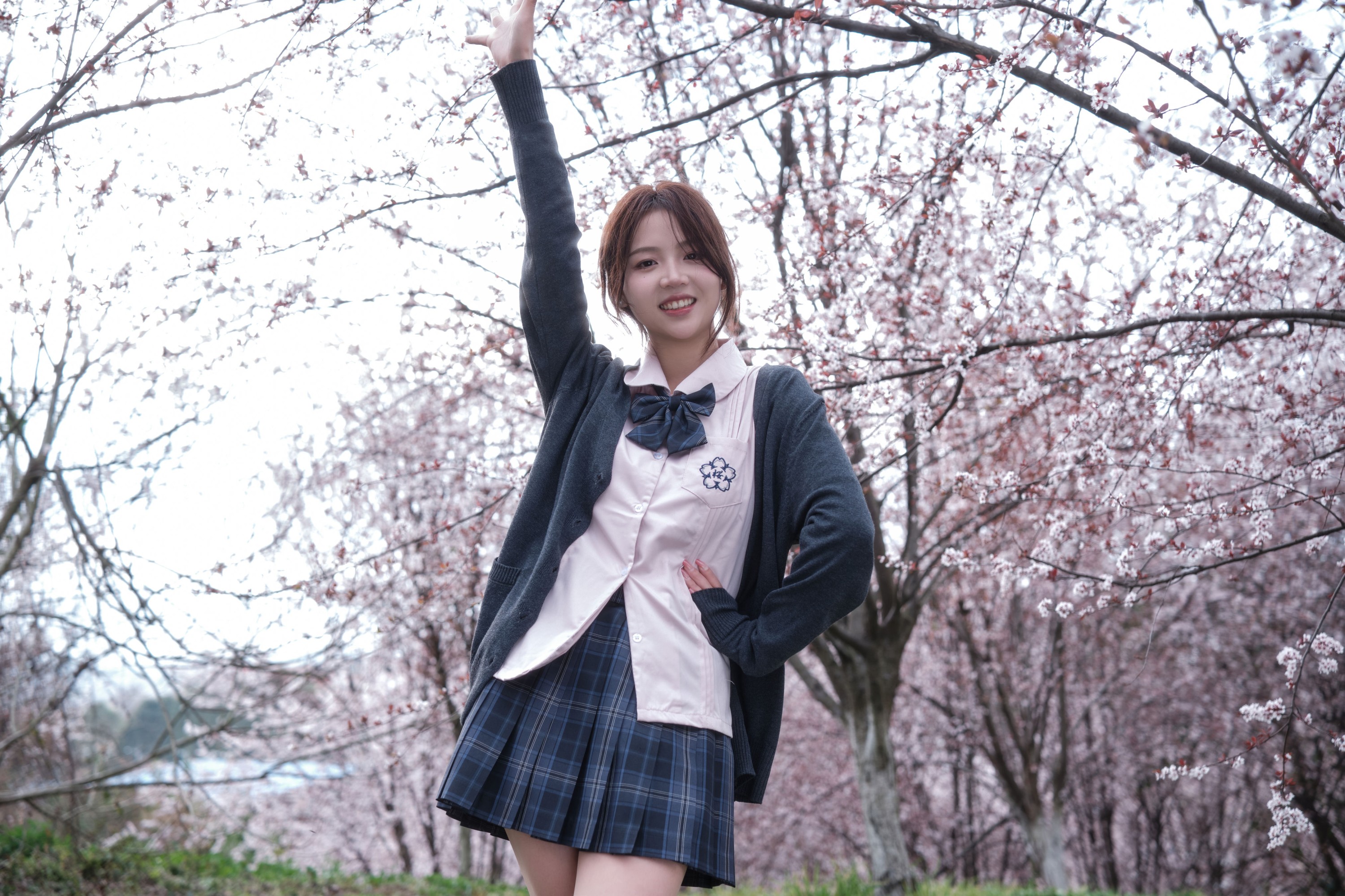 佳佳 – 《紫叶李jk》[31P]