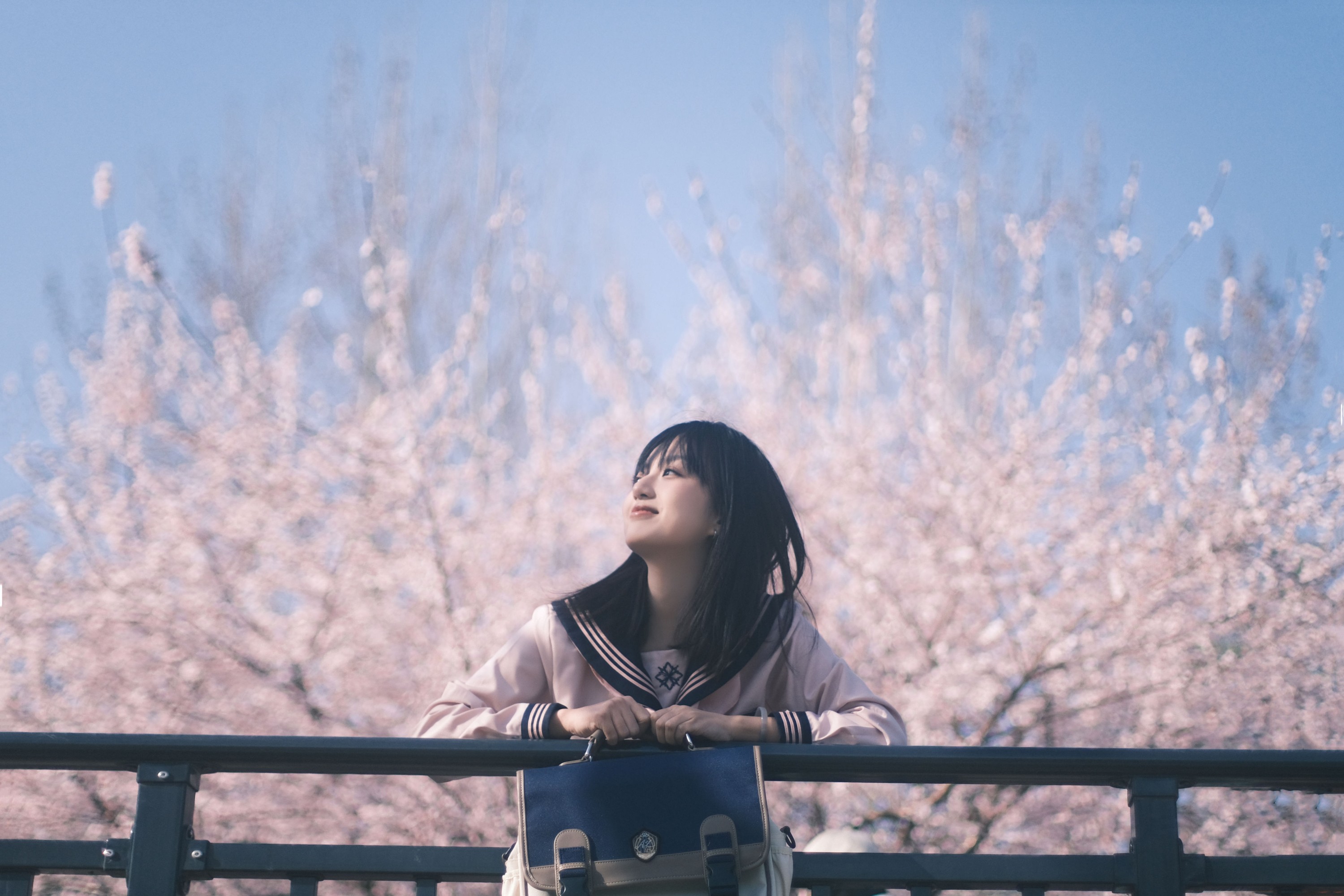 非常亮 – 《樱花树下樱花妹》[22P]