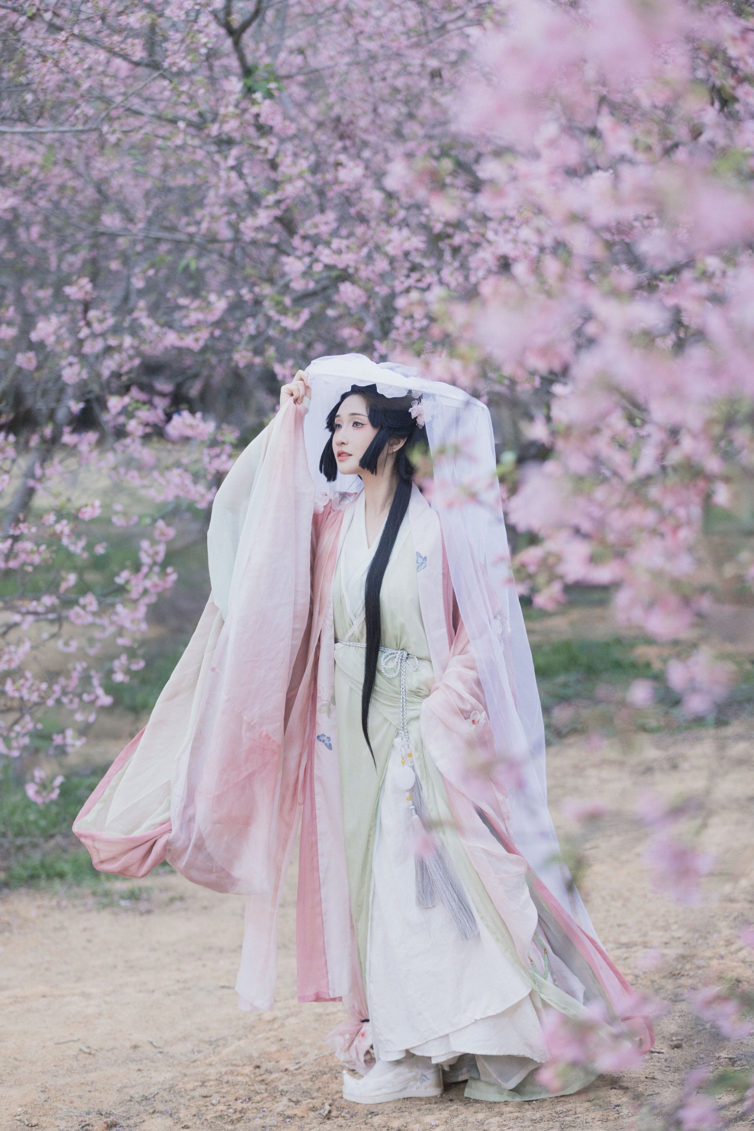 希希 – 《落樱》[23P]