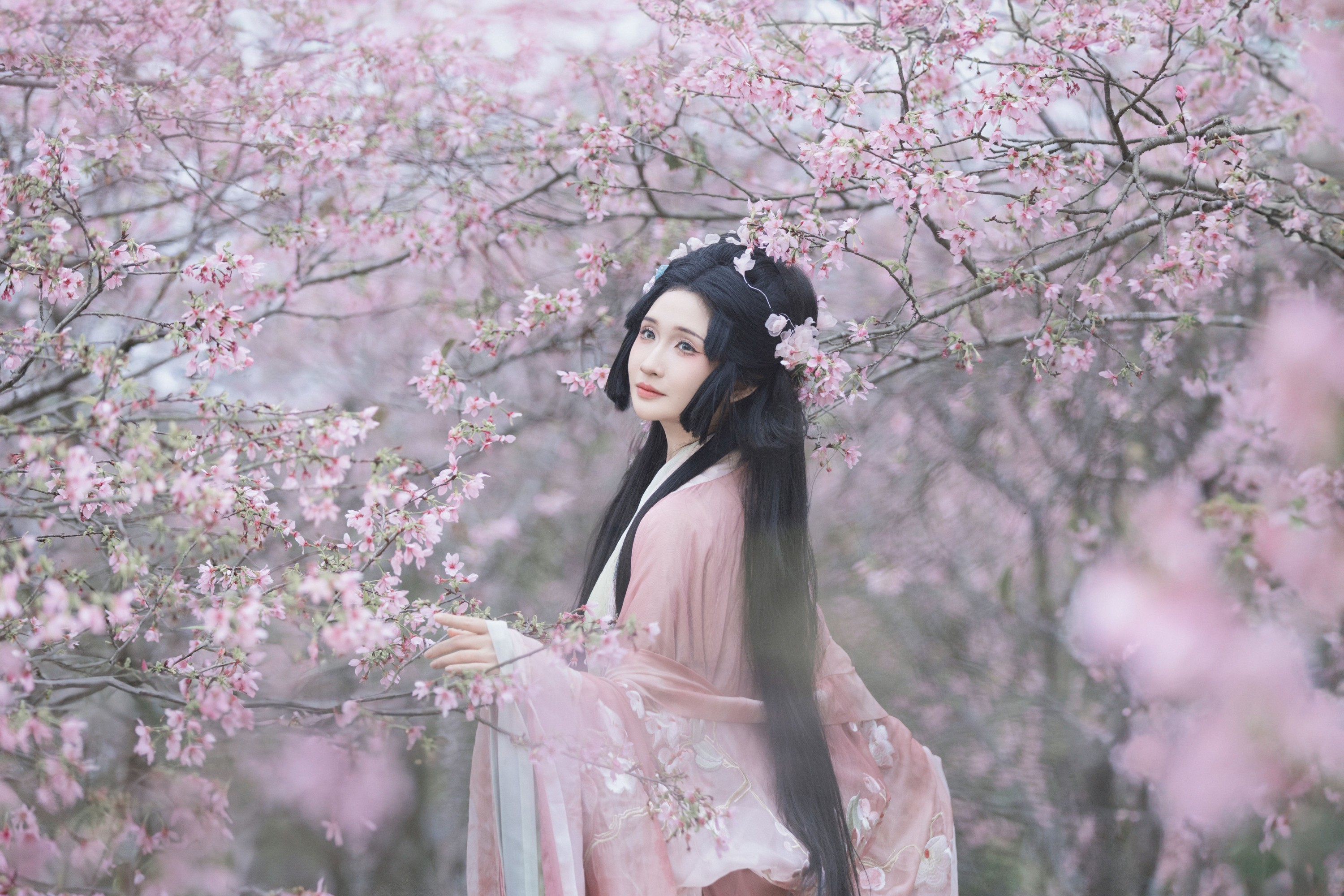 希希 – 《落樱》[23P]