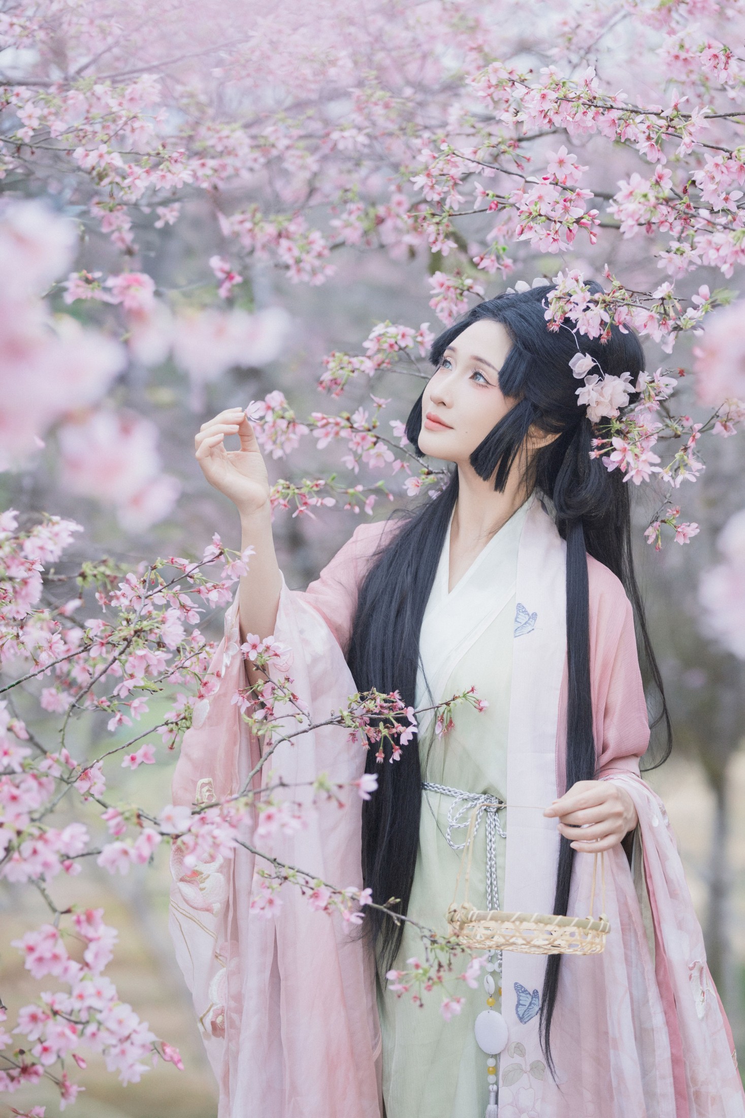 希希 – 《落樱》[23P]