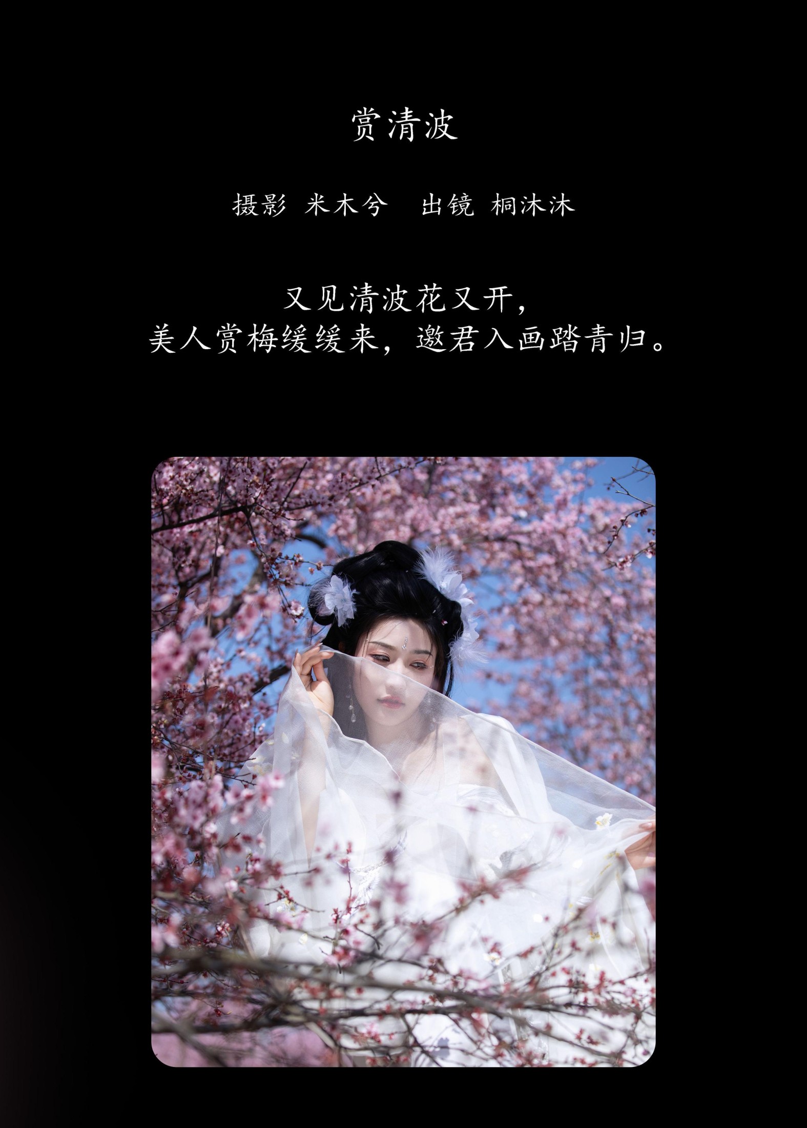 桐沐沐 – 《赏清波》[21P]