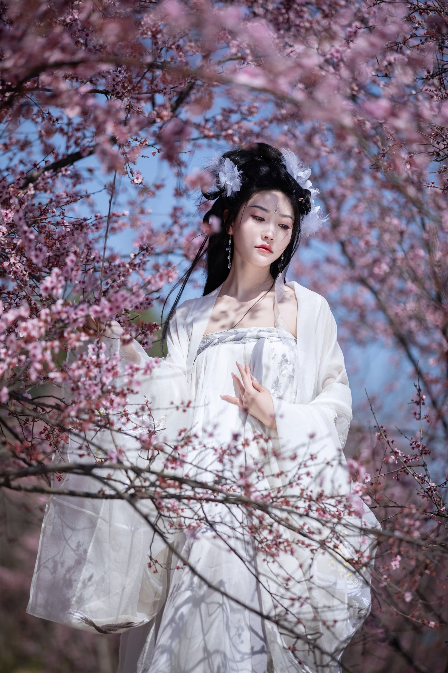 桐沐沐 – 《赏清波》[21P]