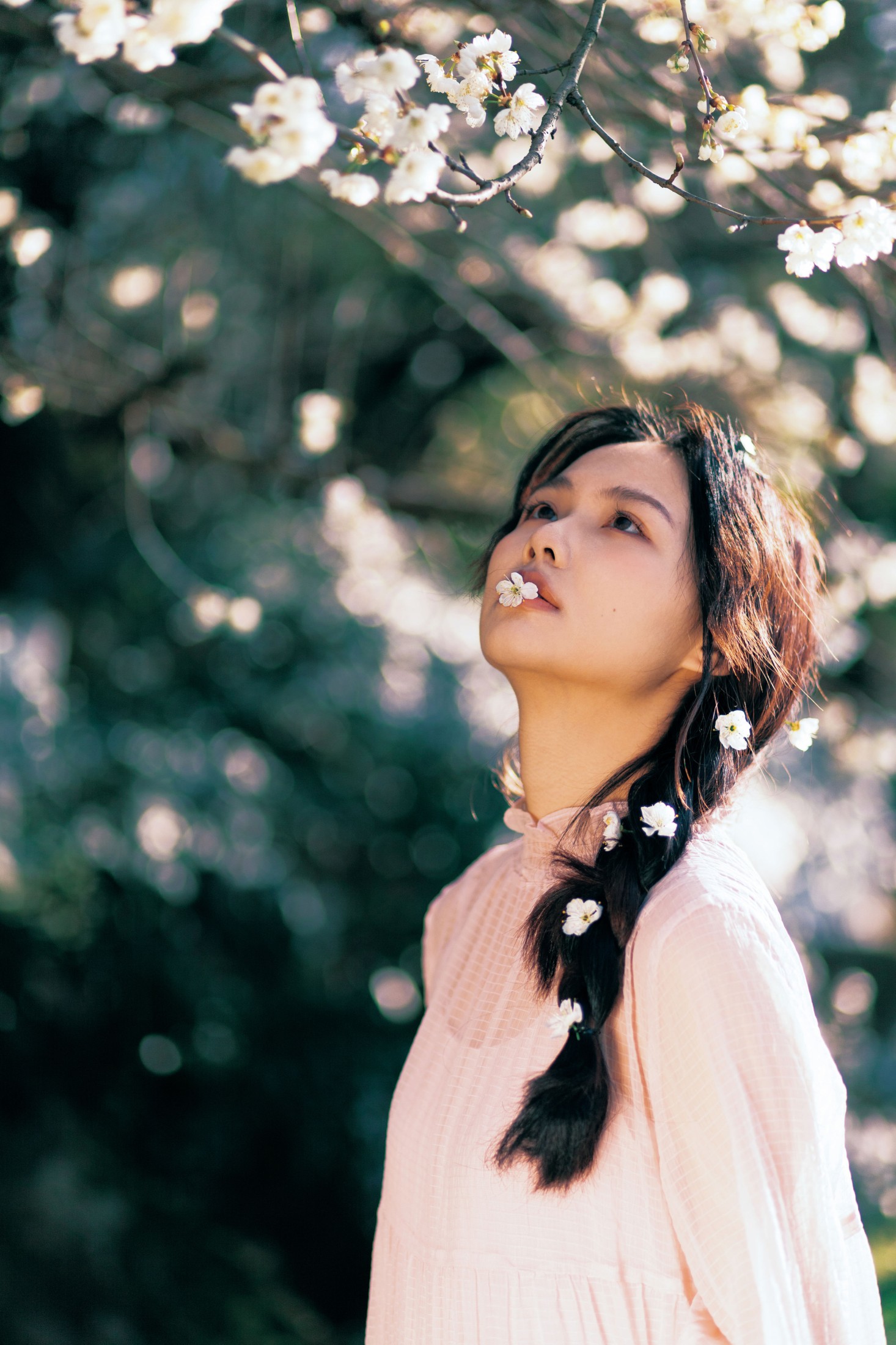 zora – 《春日樱》[28P]