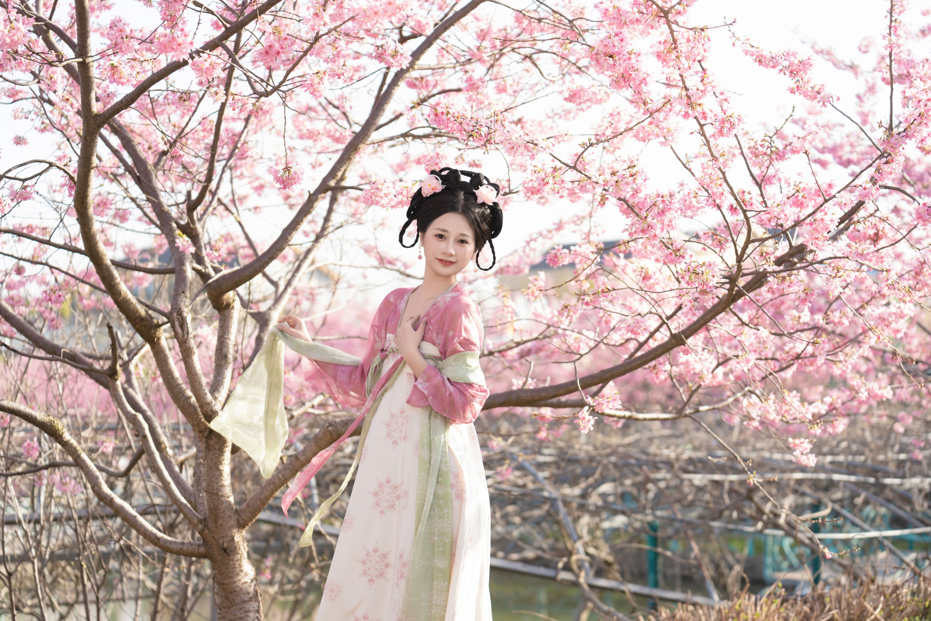 橙子舒 – 《樱花汉服》[23P]