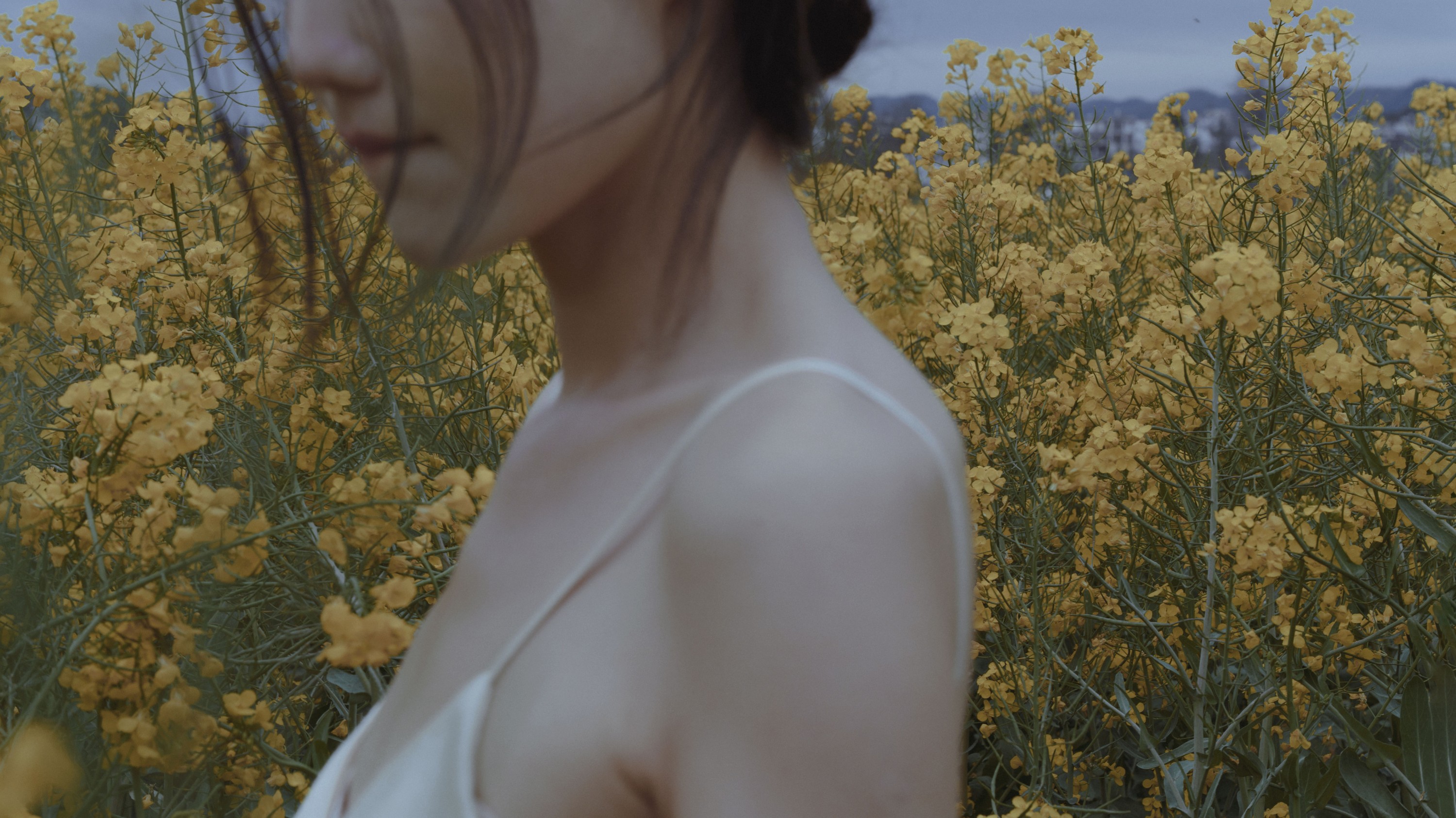 多米Domy – 《家乡的油菜花开了》[45P]