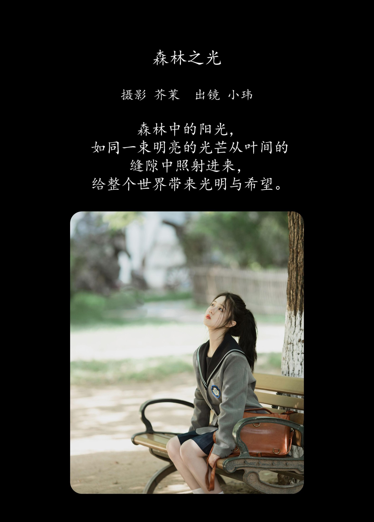 玮玮 – 《森林之光》[24P]