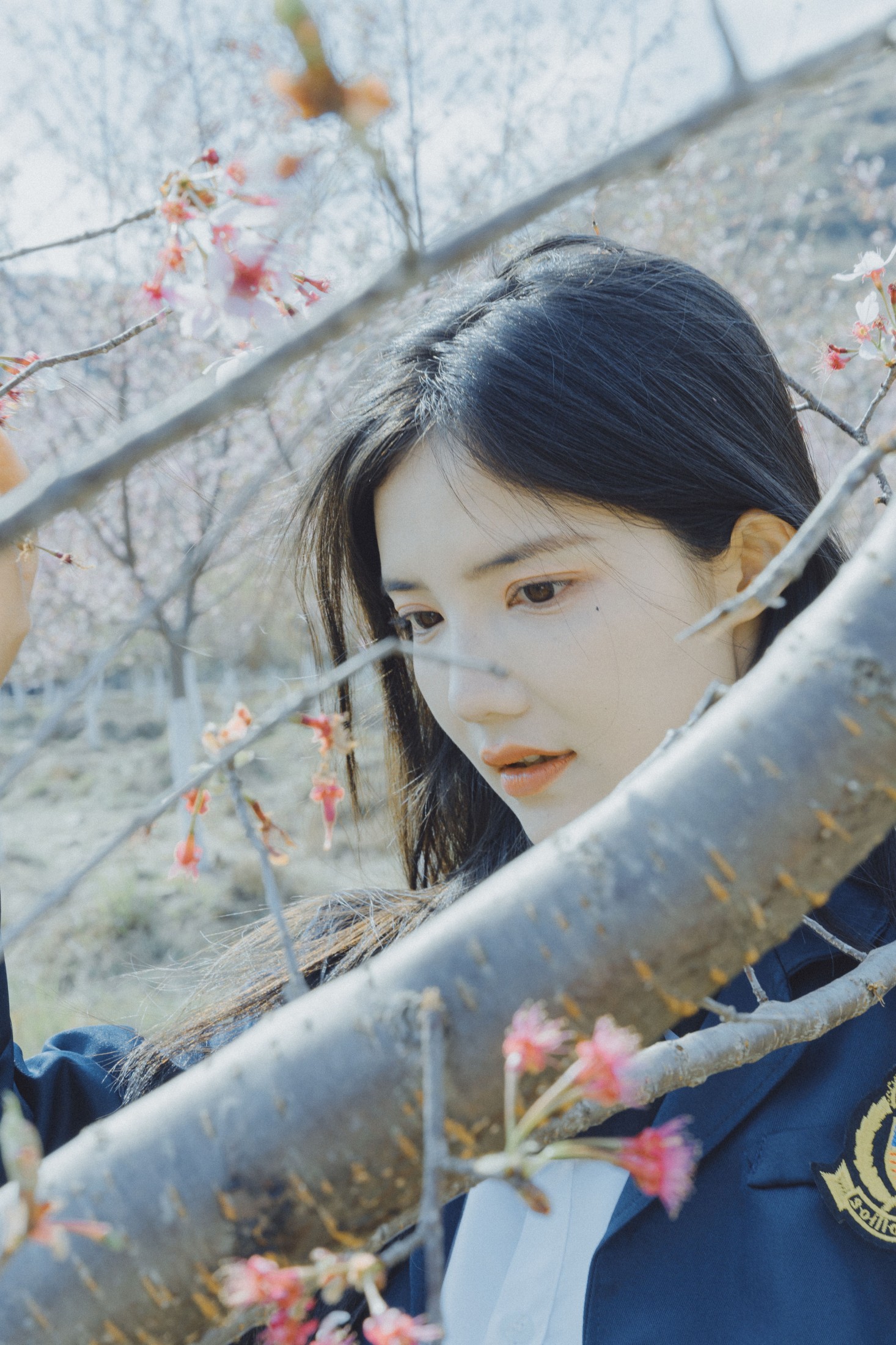 多米Domy – 《樱花已开》[26P]