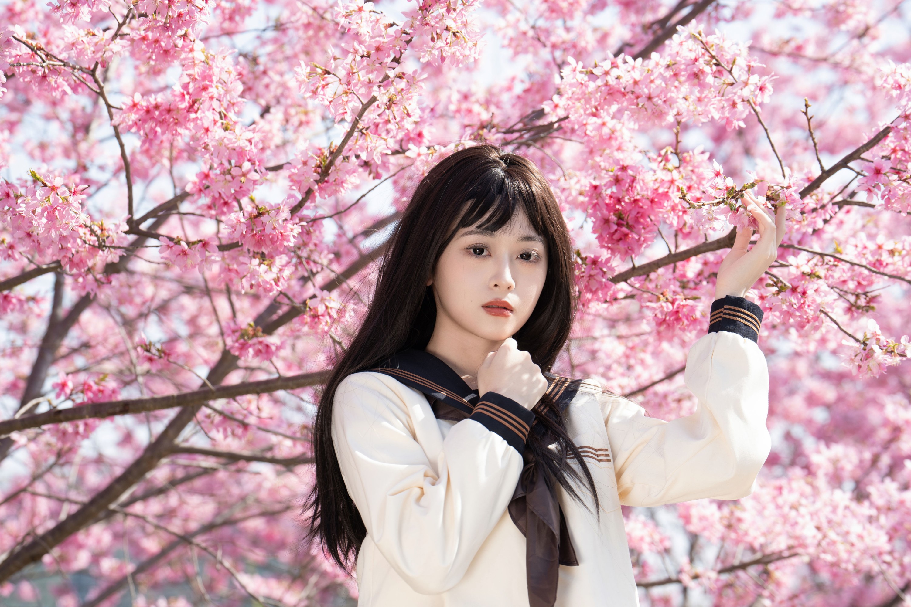 安琪不吃香菇 – 《樱花少女》[27P]