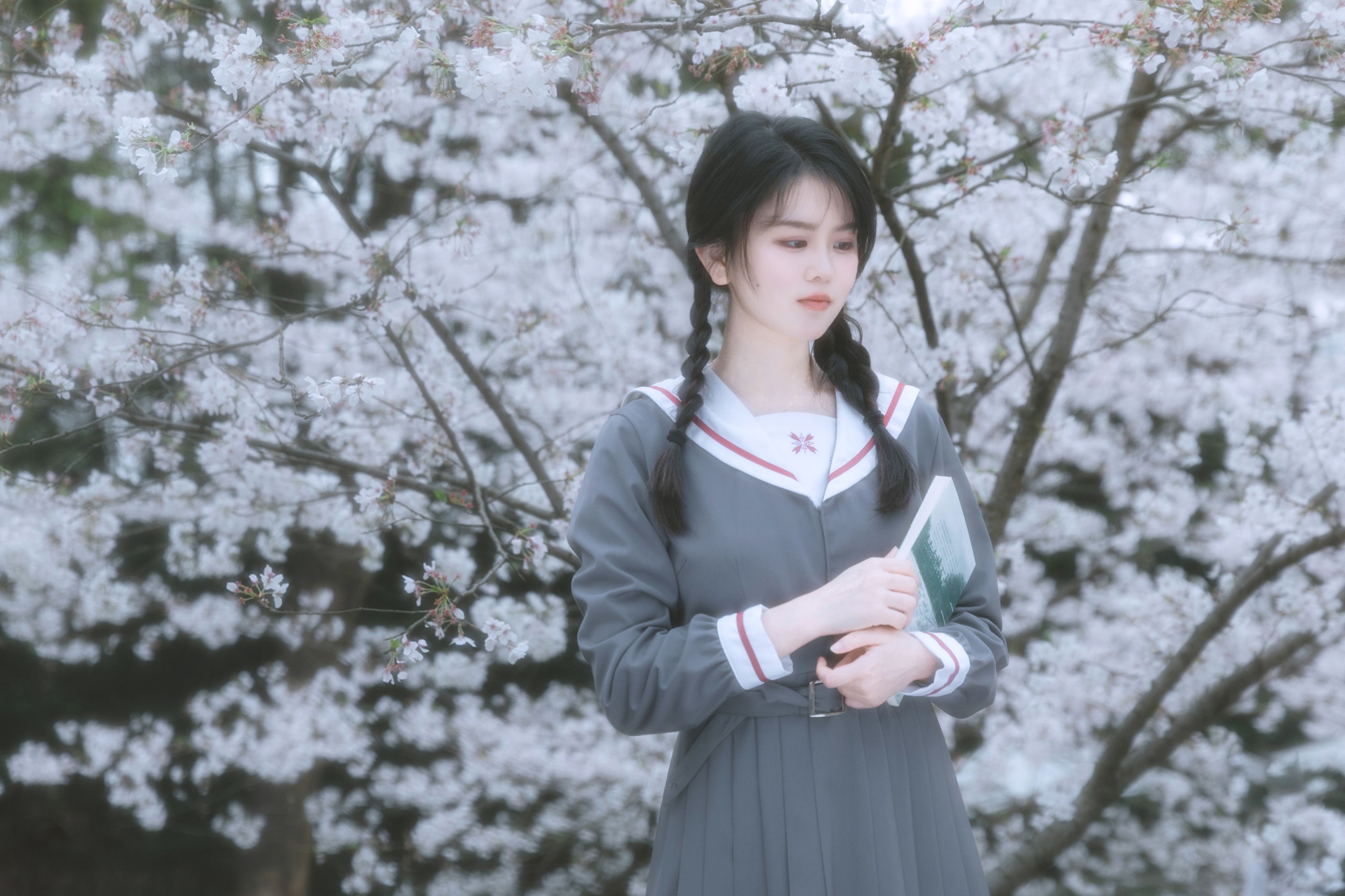 牛奶 – 《少女与花》[22P]