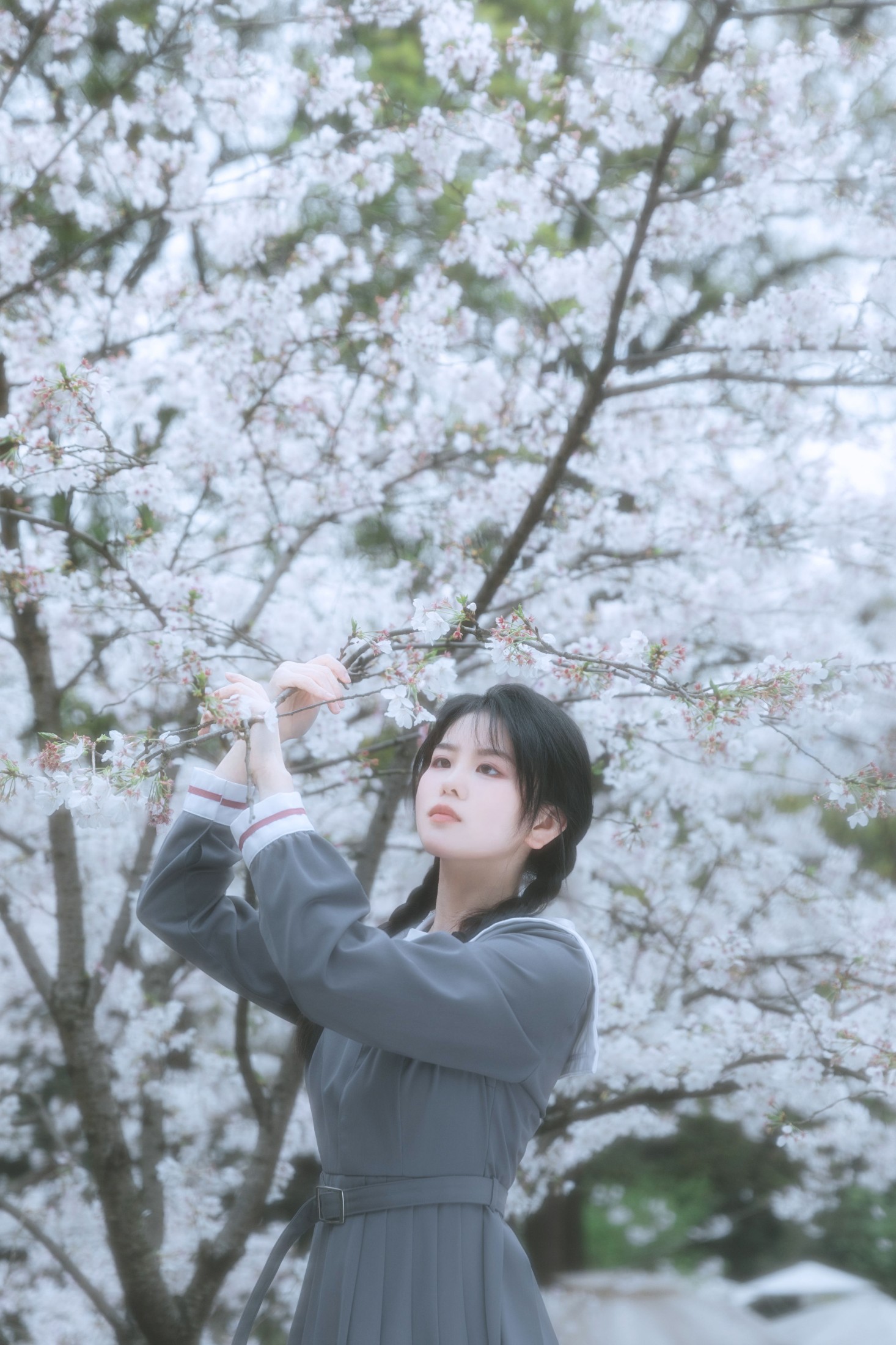 牛奶 – 《少女与花》[22P]