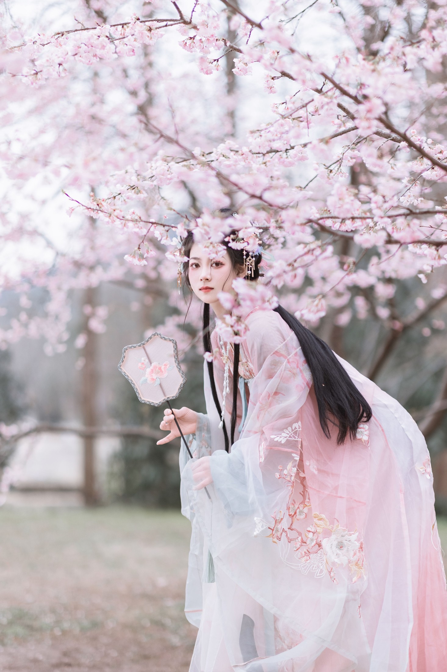 昔让 – 《春之樱》[21P]