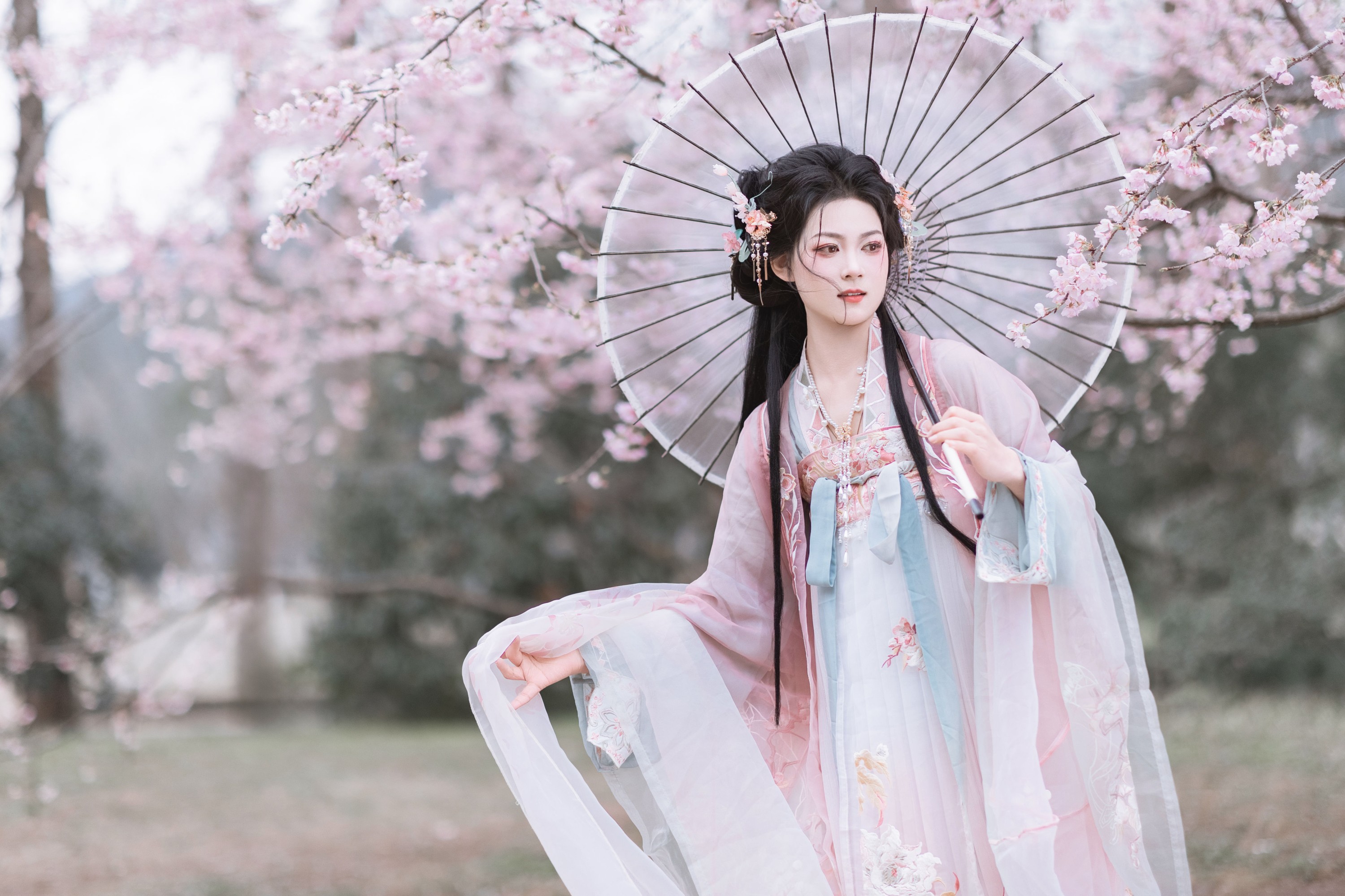 昔让 – 《春之樱》[21P]