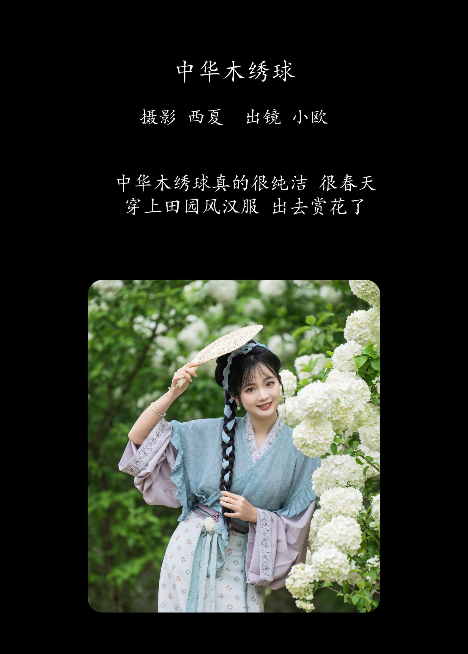 小欧O – 《中华木绣球》[24P]