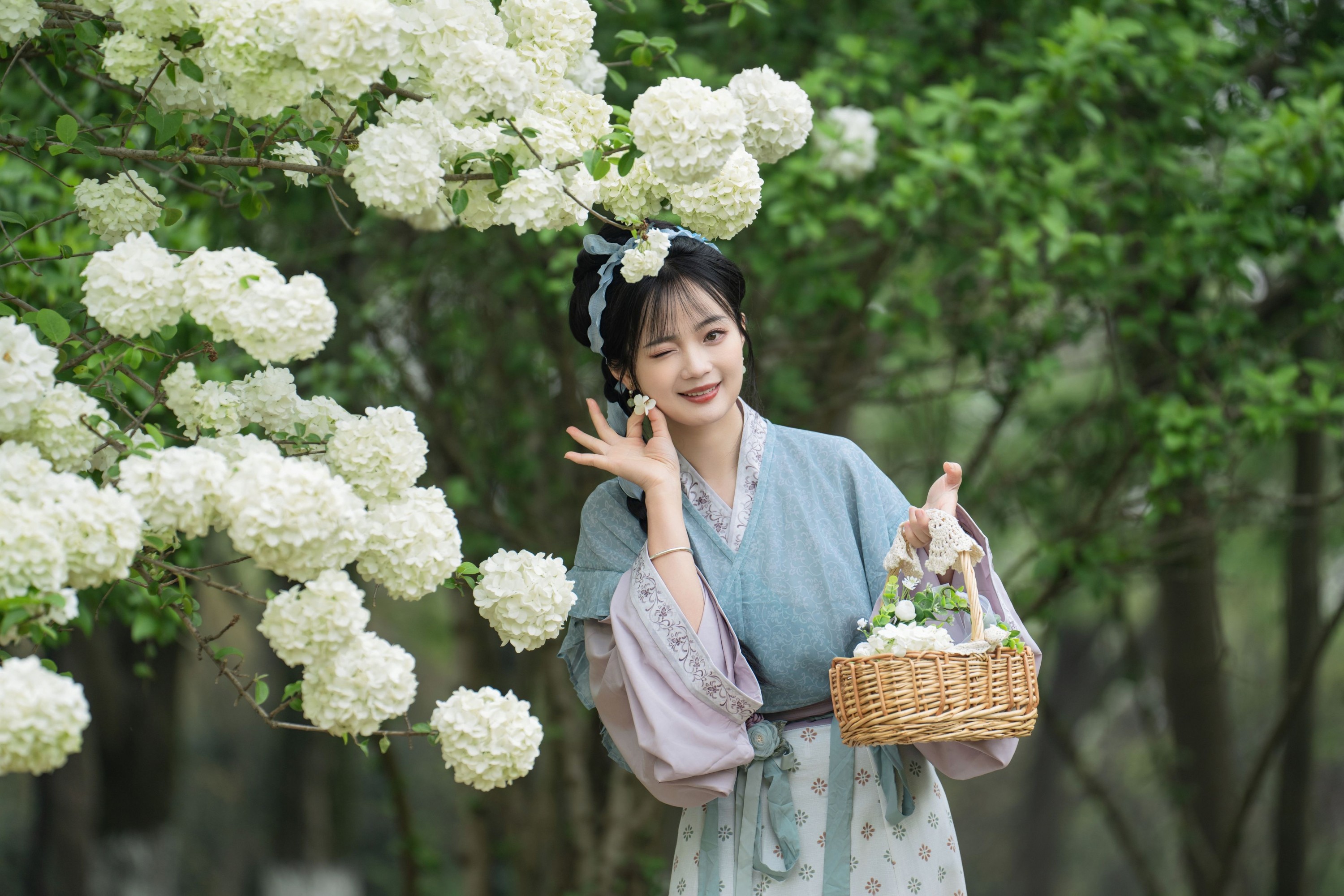 小欧O – 《中华木绣球》[24P]