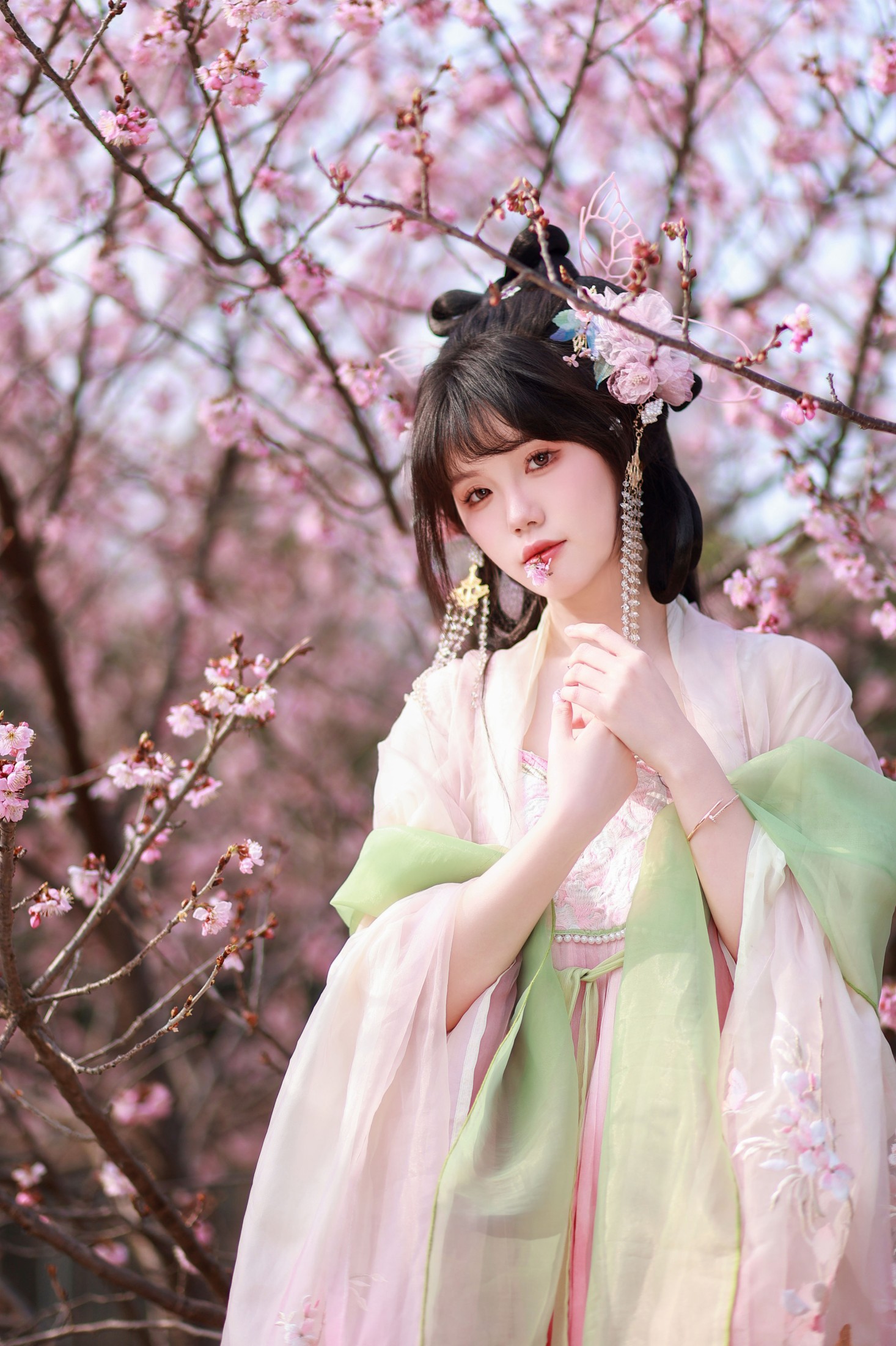 草莓西米陆 – 《春樱》[21P]