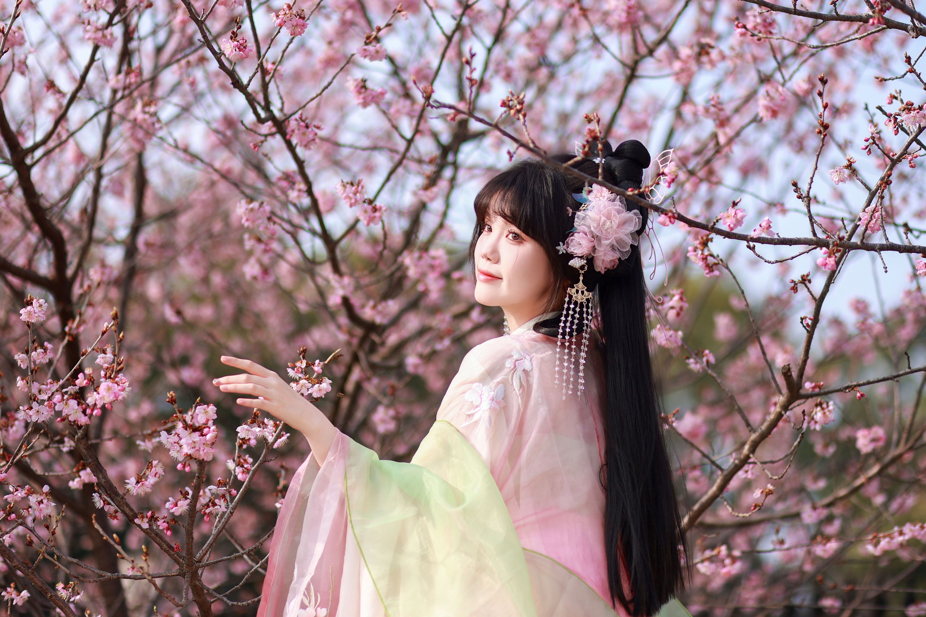 草莓西米陆 – 《春樱》[21P]