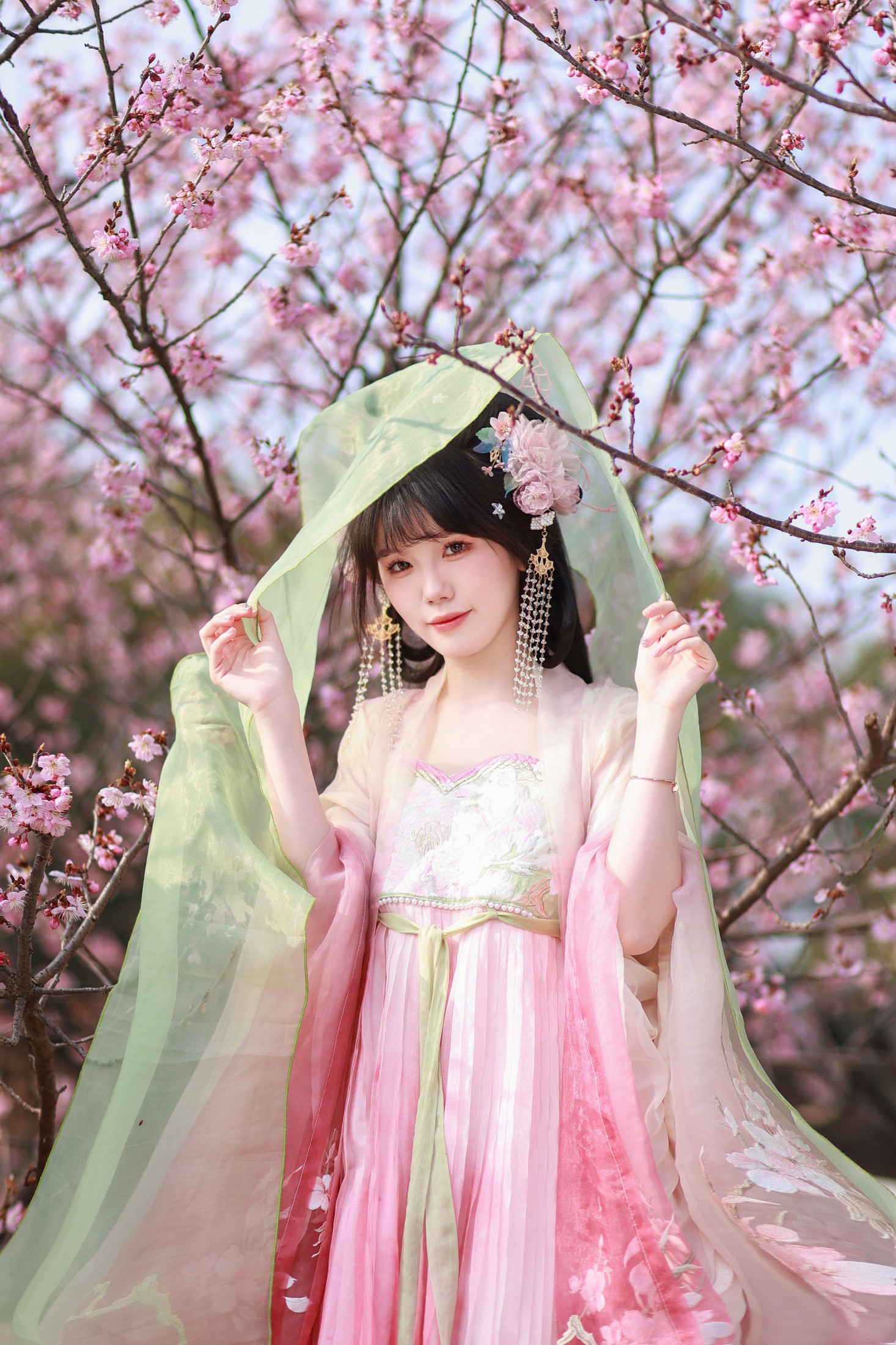 草莓西米陆 – 《春樱》[21P]