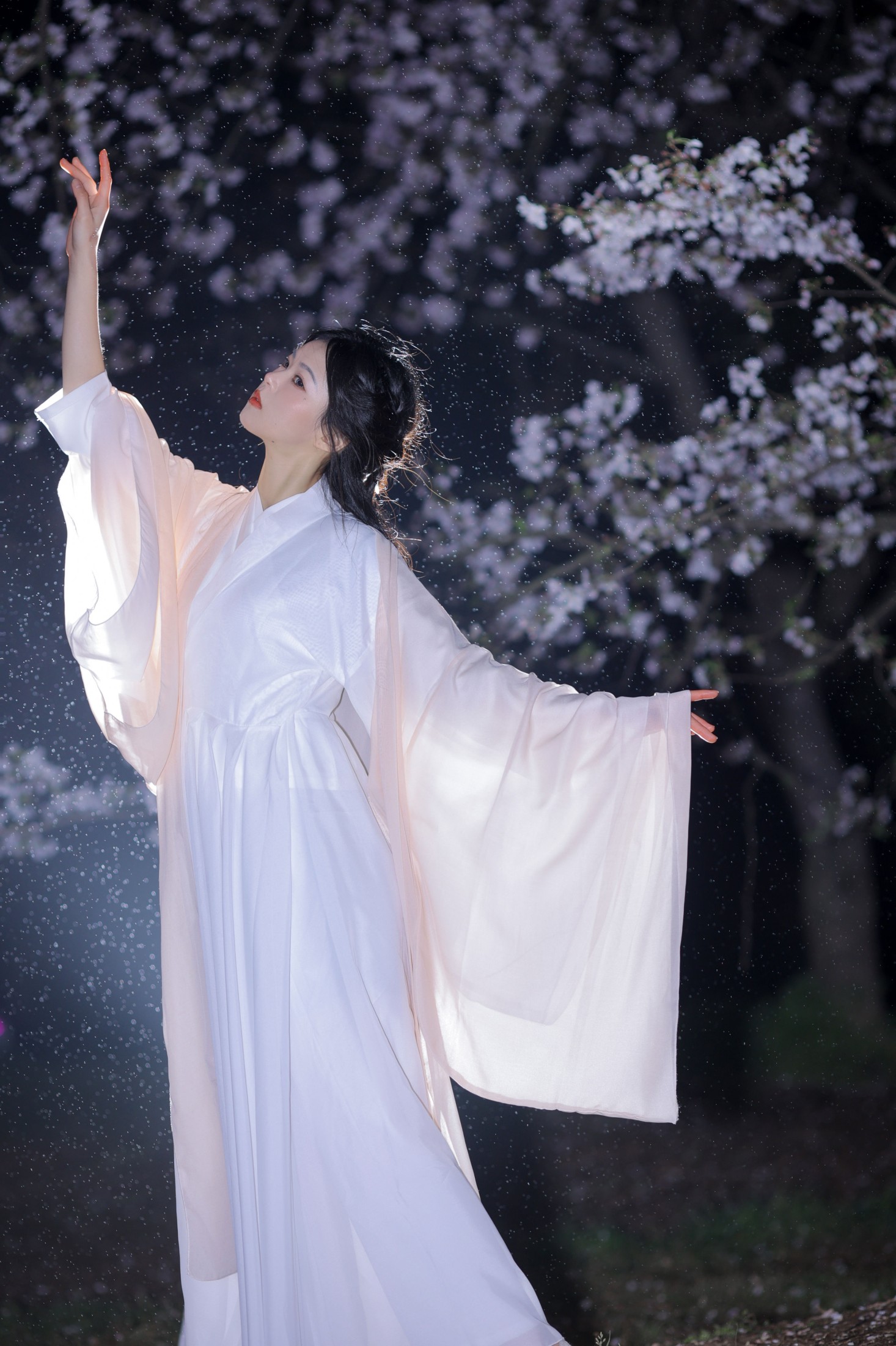 小羊 – 《夜樱》[23P]