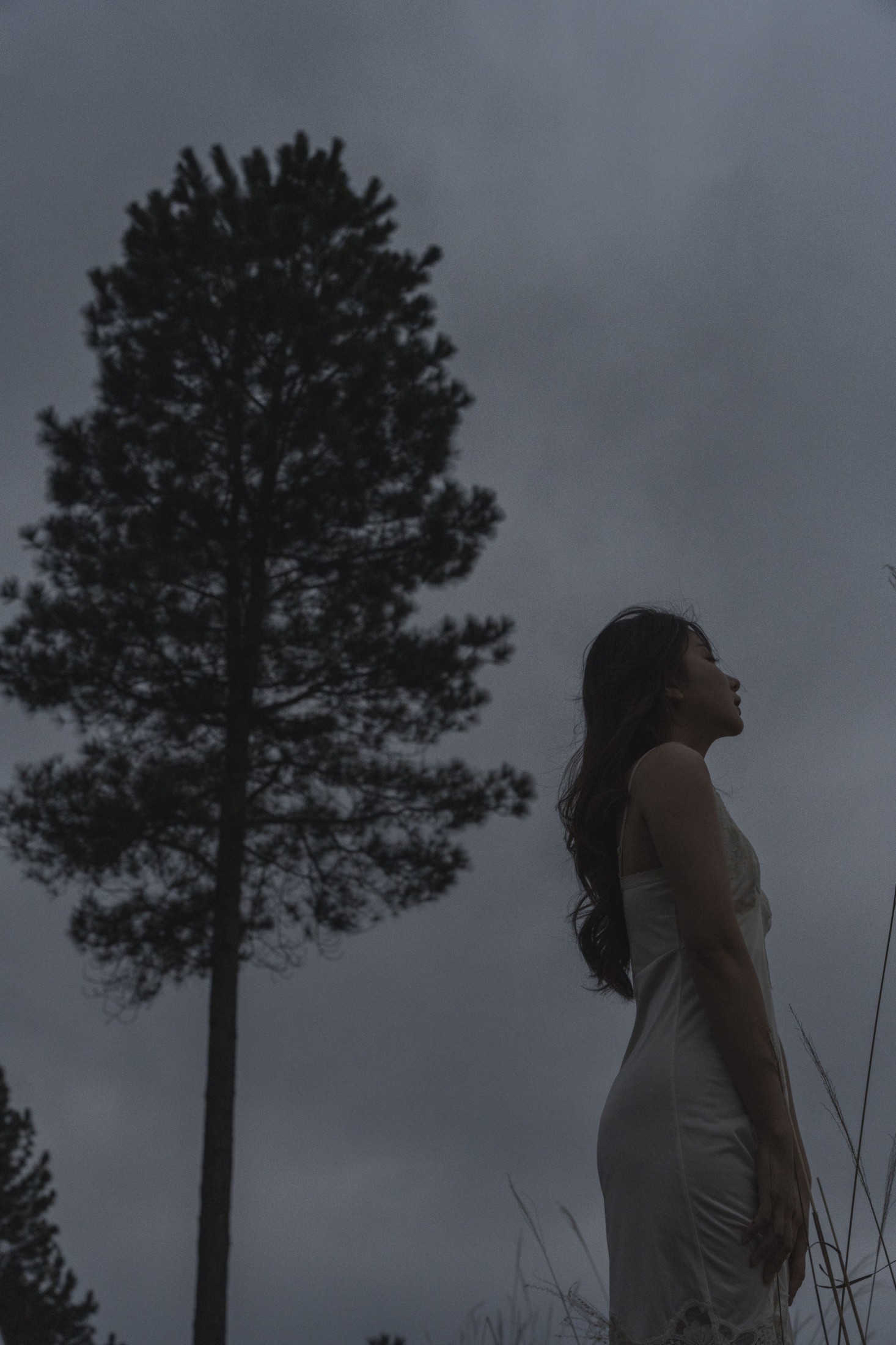 穆穆 – 《晚风拂面》[26P]