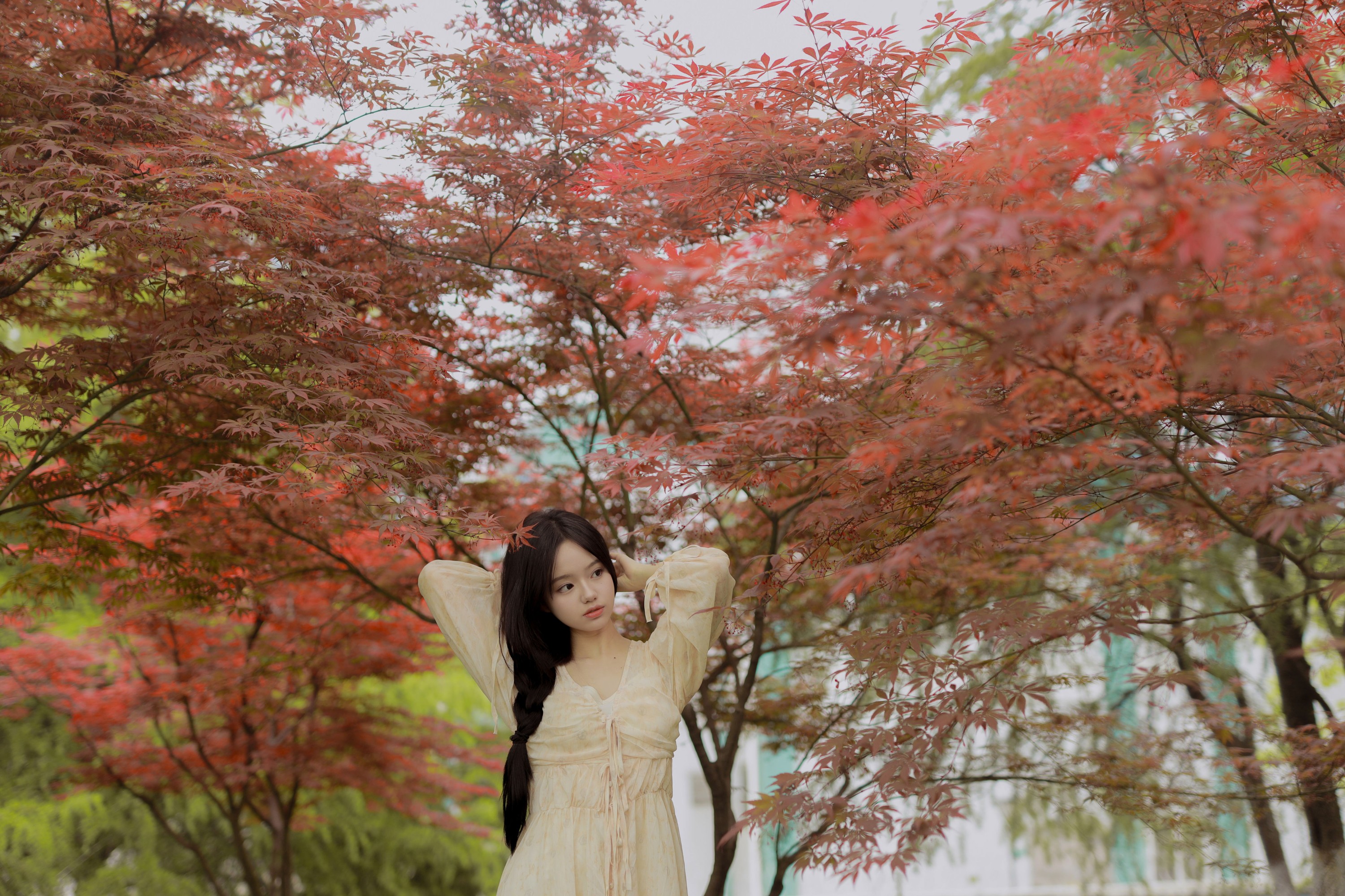 十元 – 《枫叶奇境》[37P]