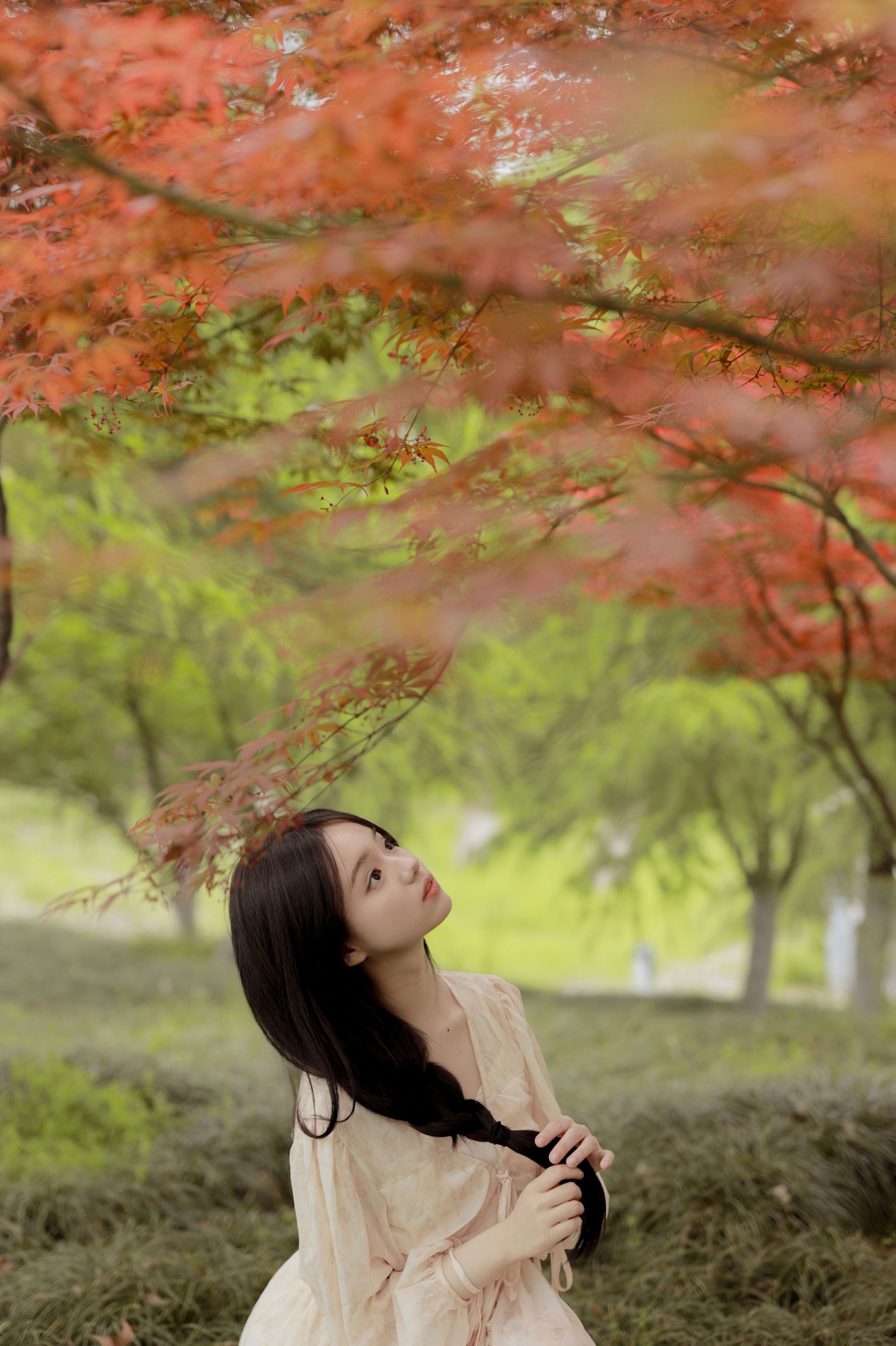 十元 – 《枫叶奇境》[37P]