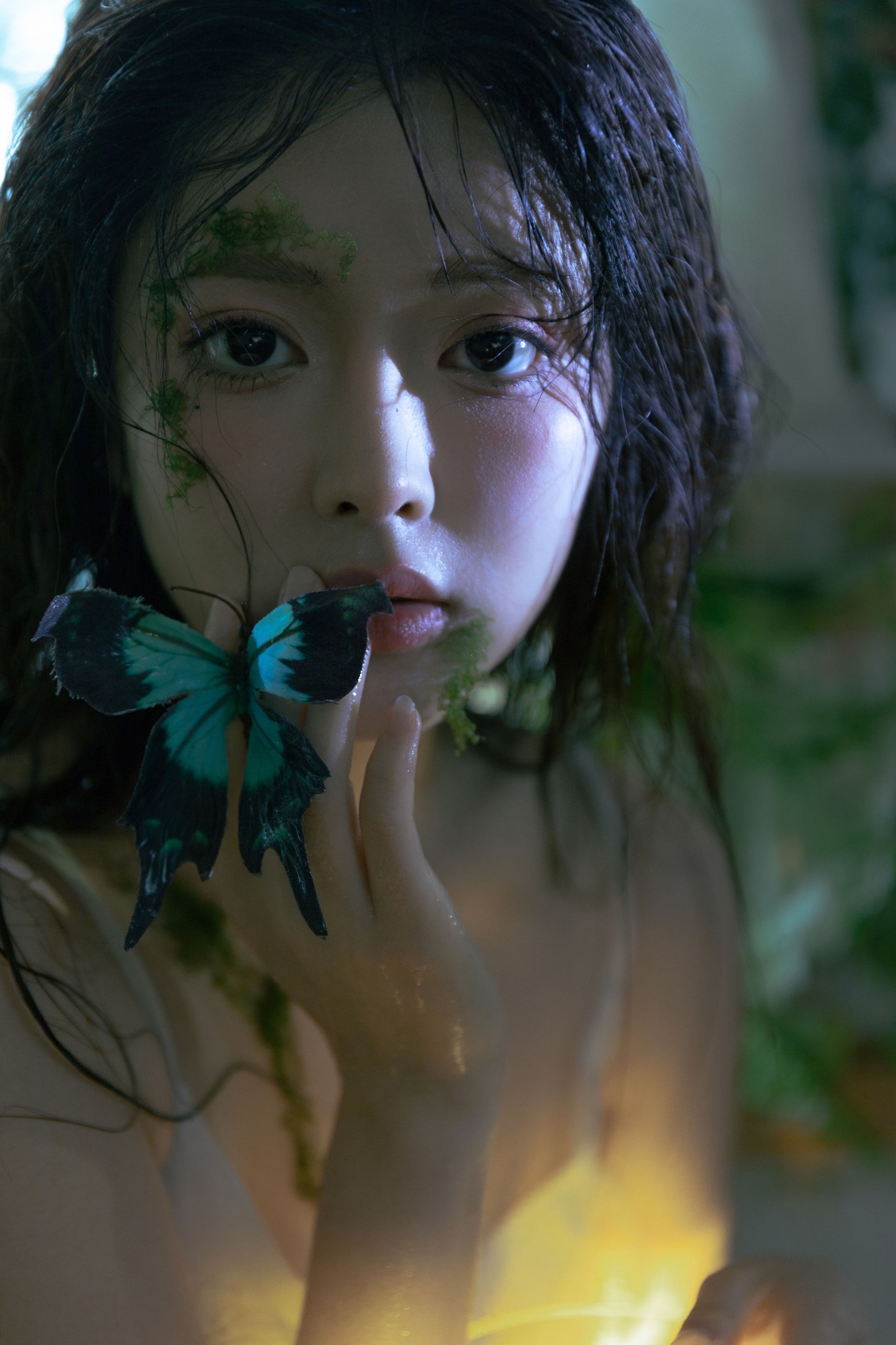 星之卡桃 – 《春逝春生》[31P]