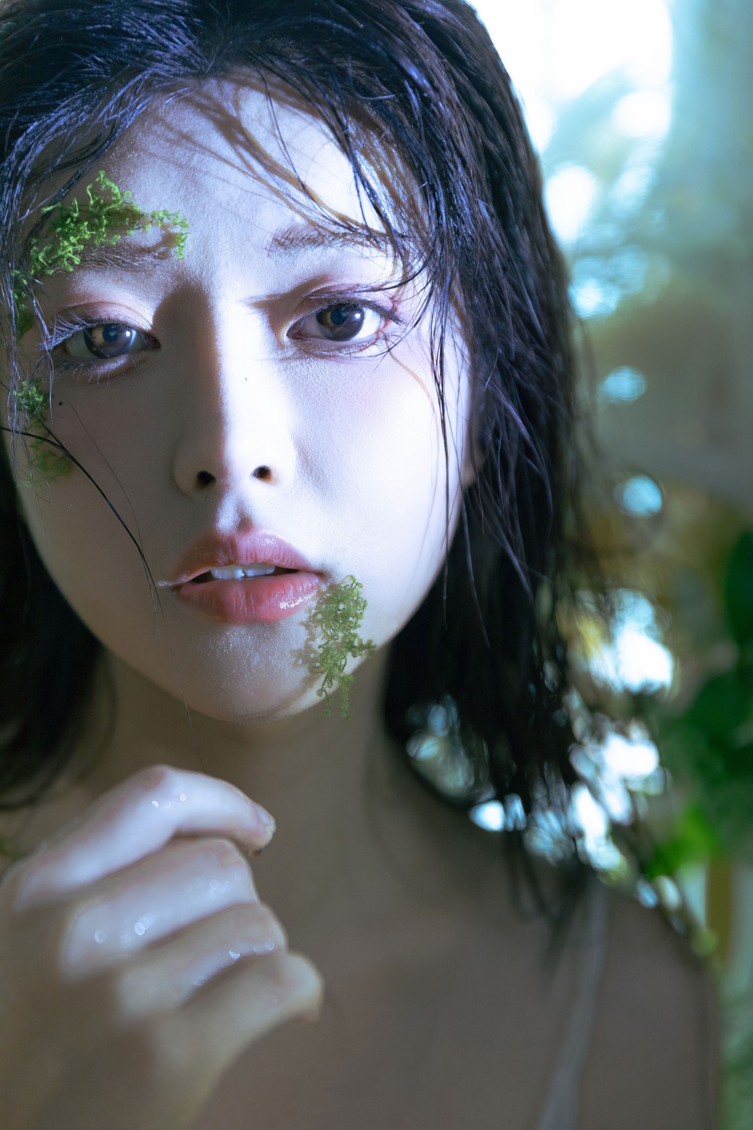 星之卡桃 – 《春逝春生》[31P]