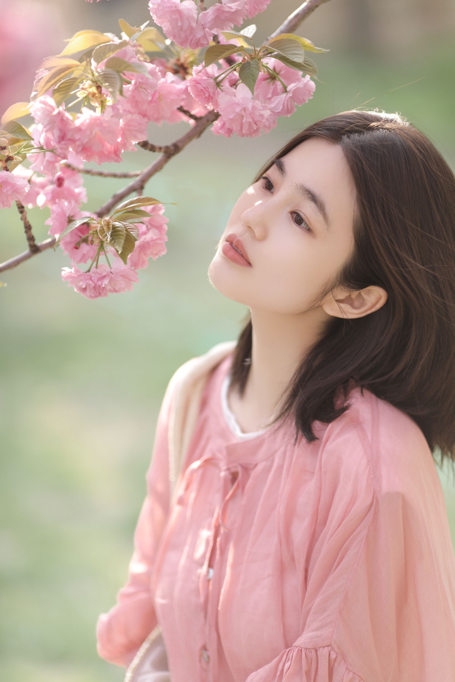 凡凡 – 《晚樱》[26P]