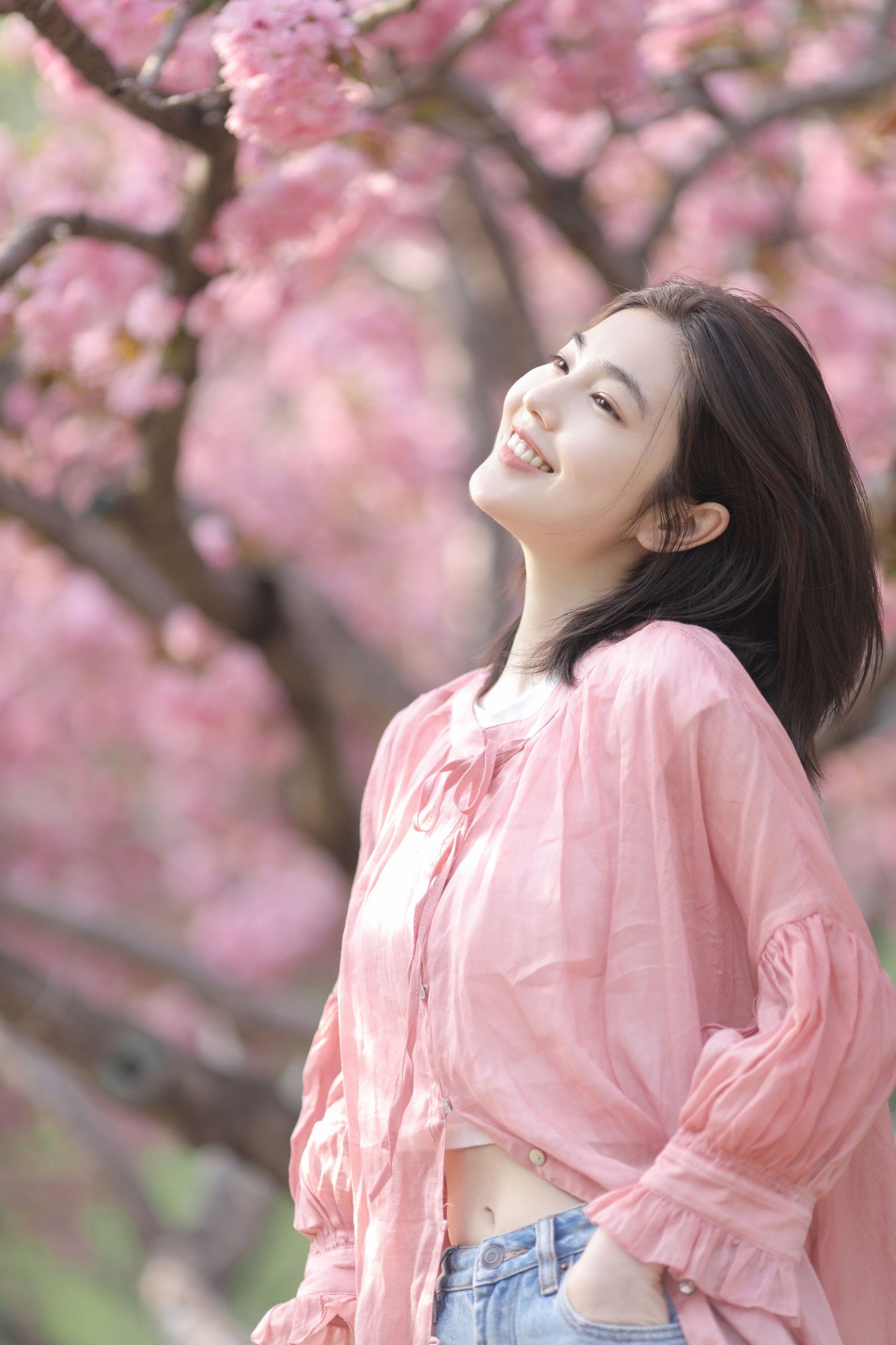 凡凡 – 《晚樱》[26P]