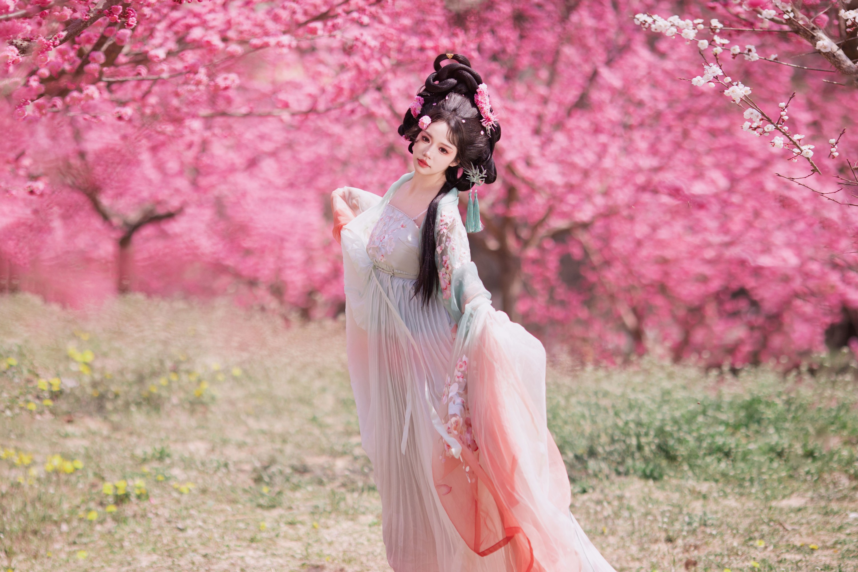 欢欢 – 《十二花神之梅花》[22P]