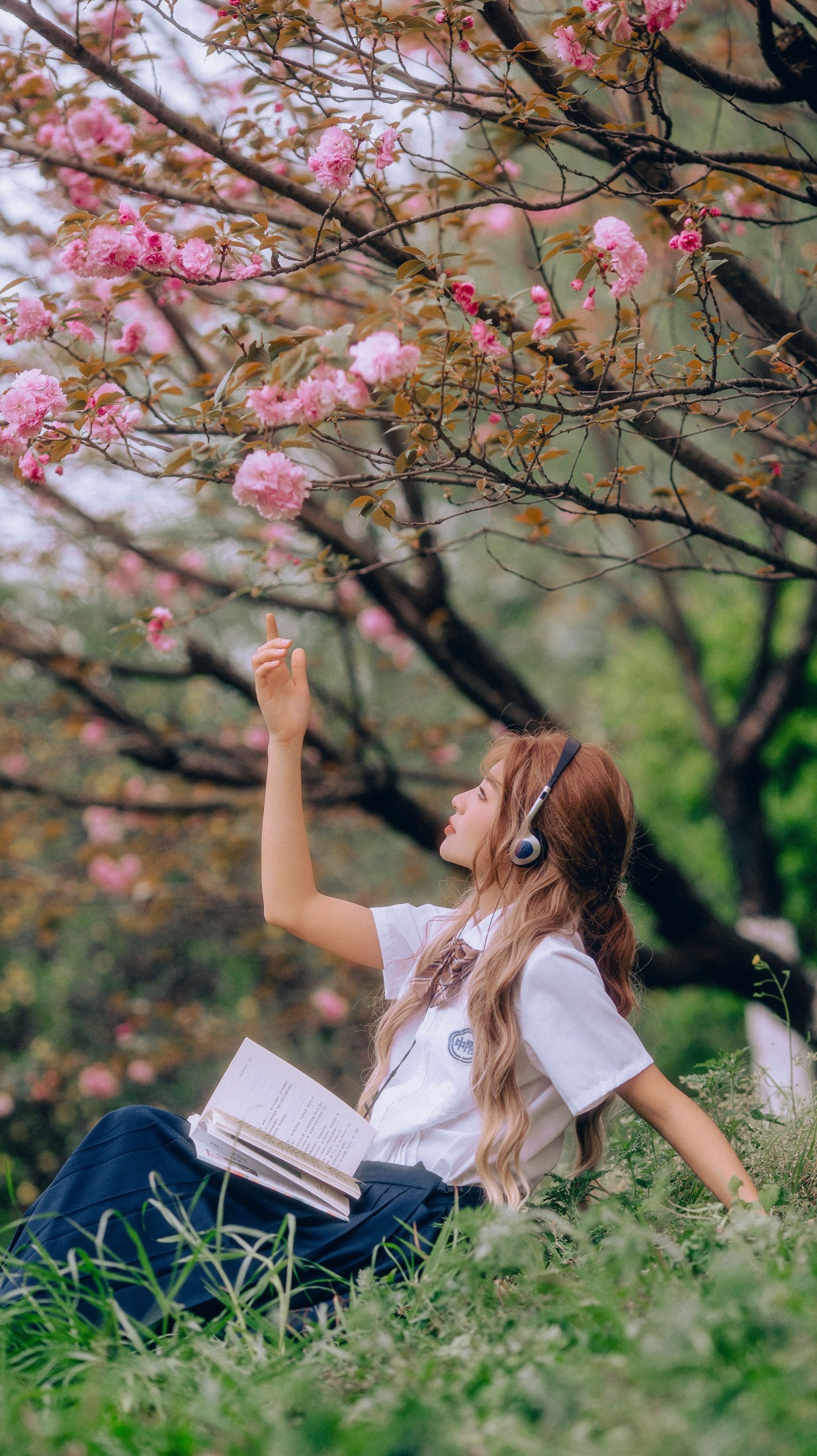 Archer – 《三月的樱花》[24P]