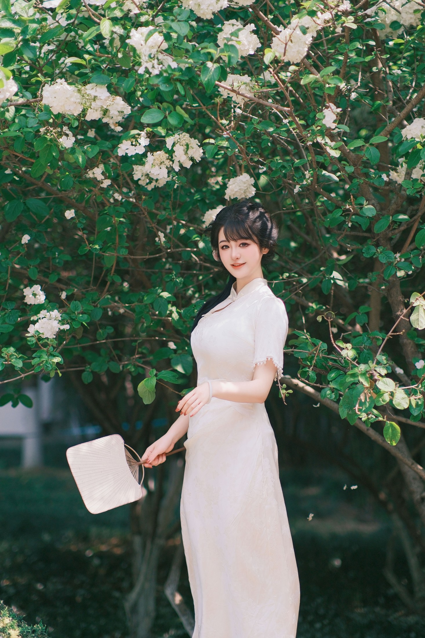 不可爱的禾禾喵 – 《花落白》[34P]