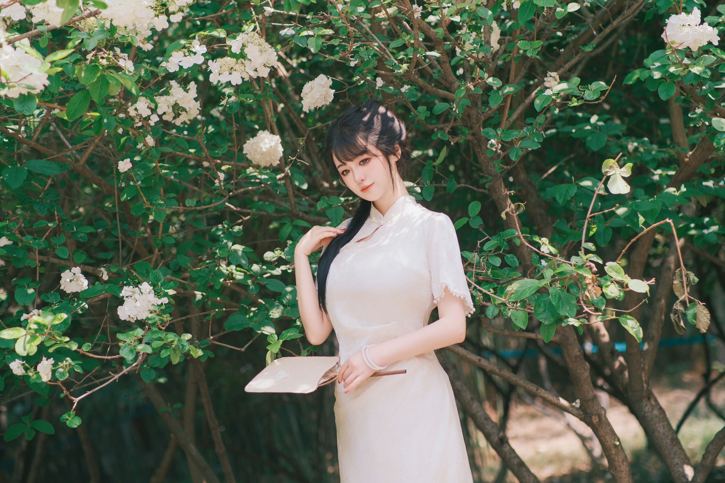 不可爱的禾禾喵 – 《花落白》[34P]