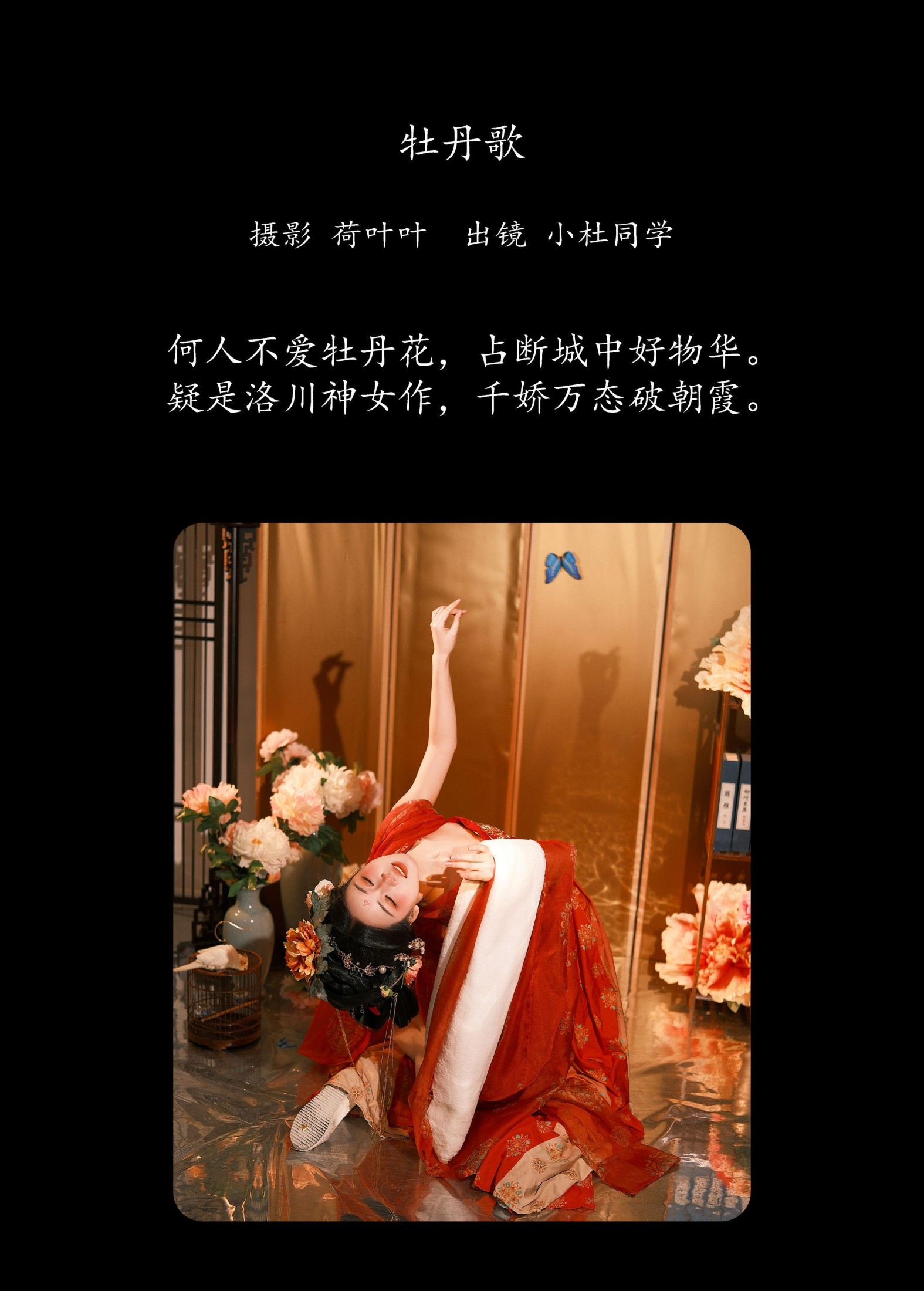 小杜同学 – 《牡丹歌》[31P]