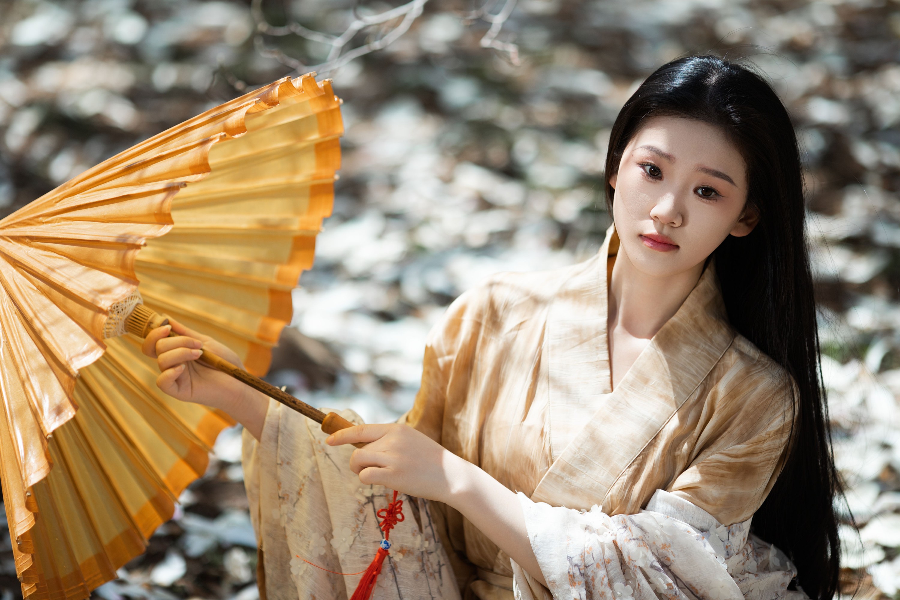 相望回首喵喵喵 – 《玉兰花开》[24P]