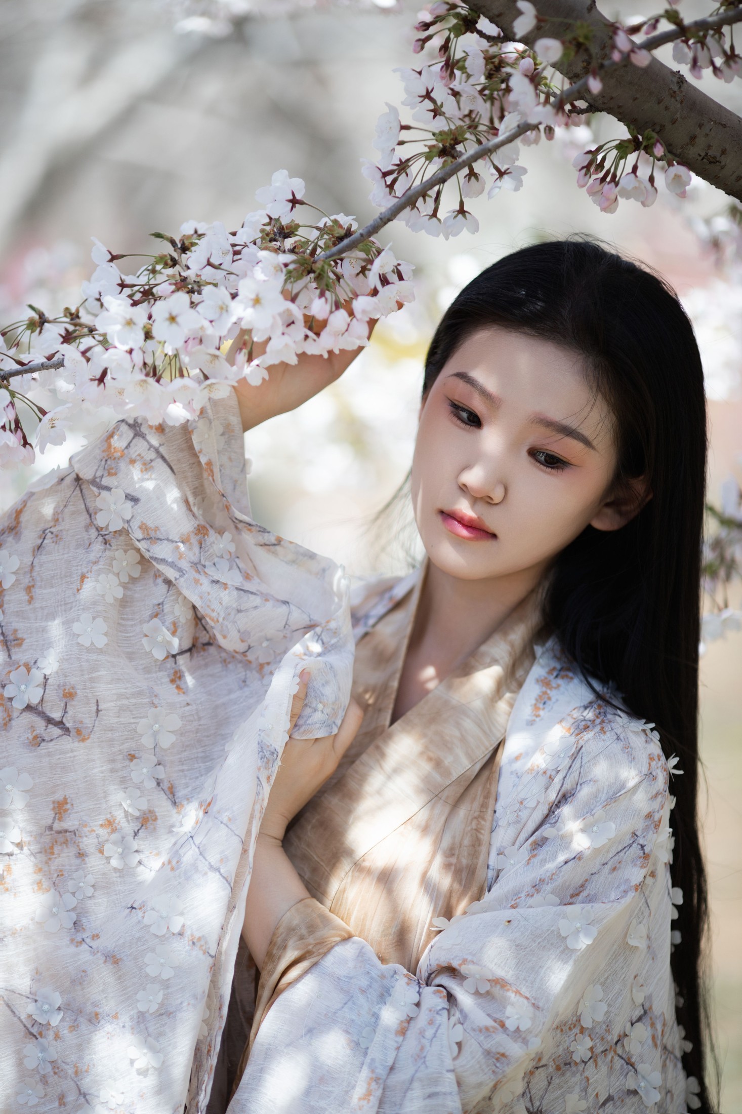 相望回首喵喵喵 – 《玉兰花开》[24P]