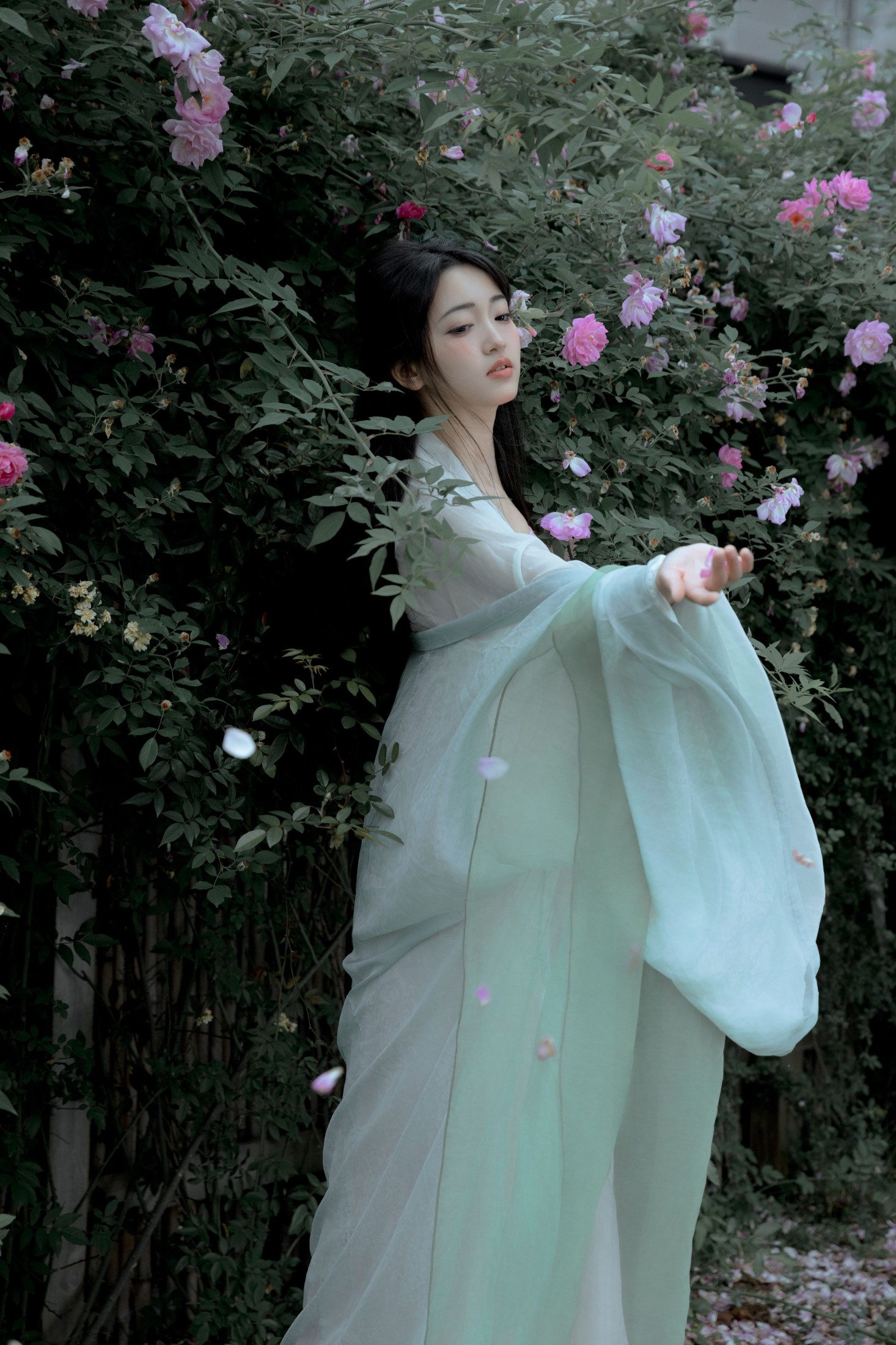 冷酷王爷 – 《蔓蔓青萝》[25P]