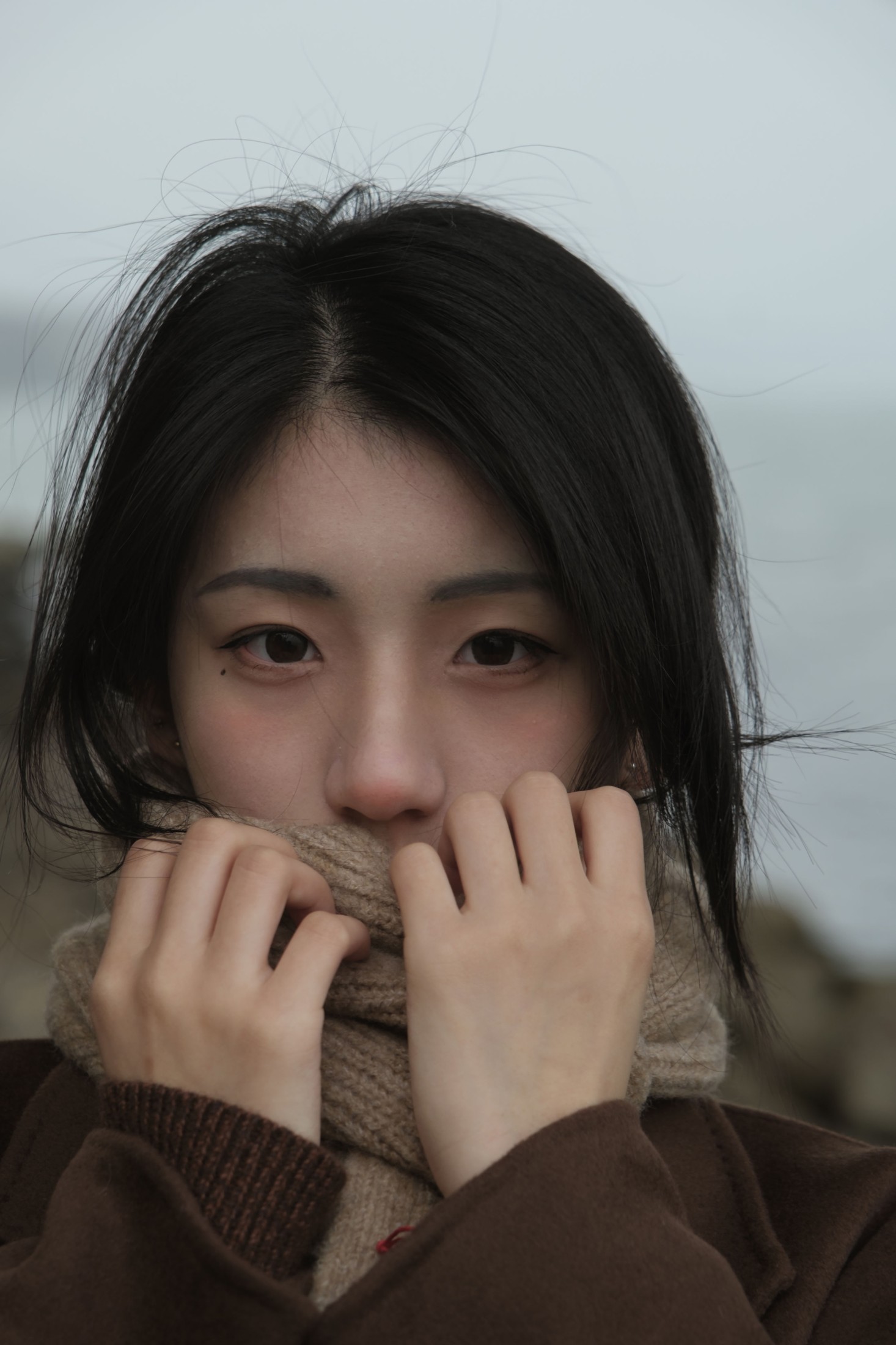 鲨鲨帅帅鱼 – 《冬日来信》[22P]