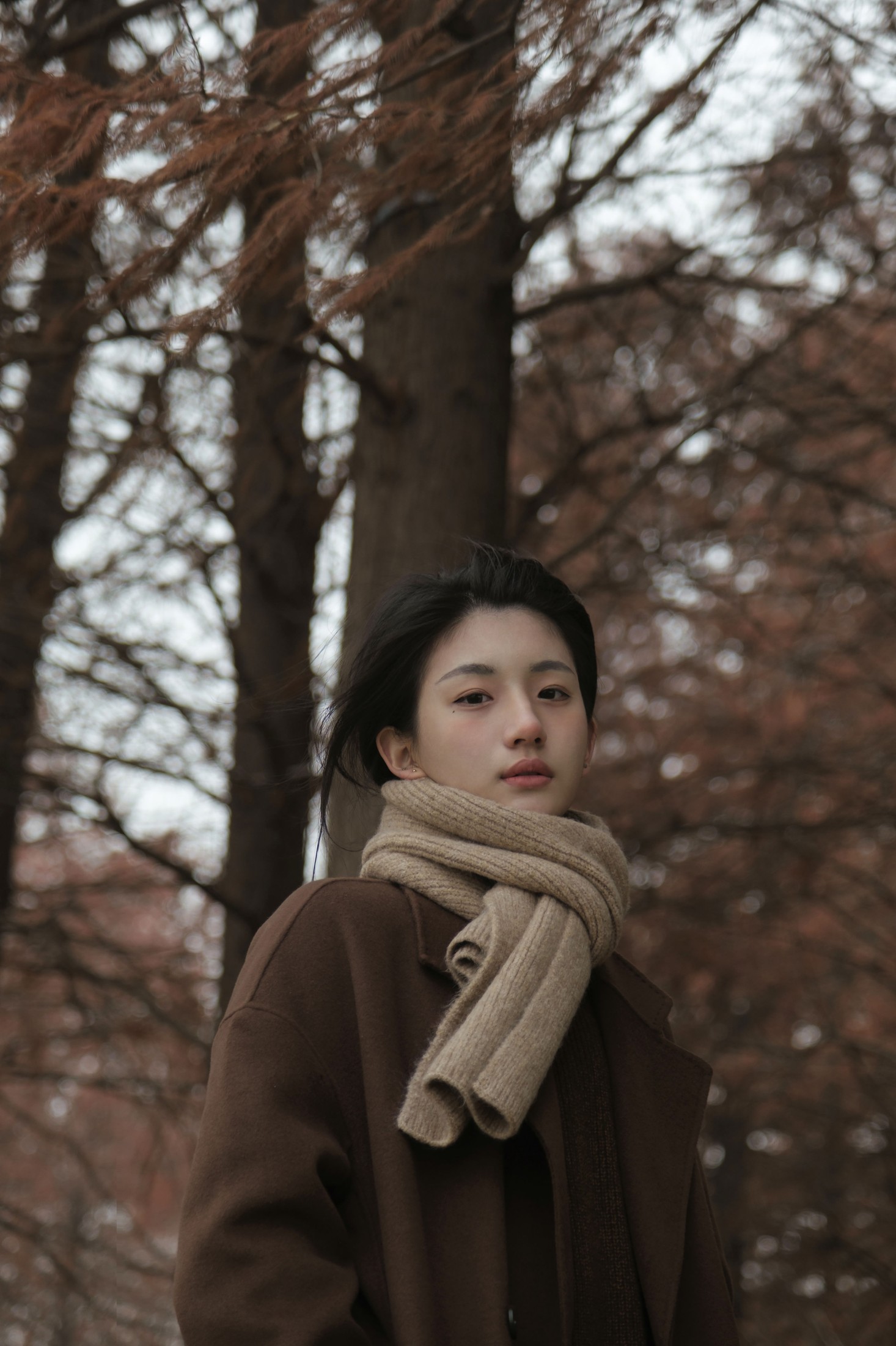 鲨鲨帅帅鱼 – 《冬日来信》[22P]