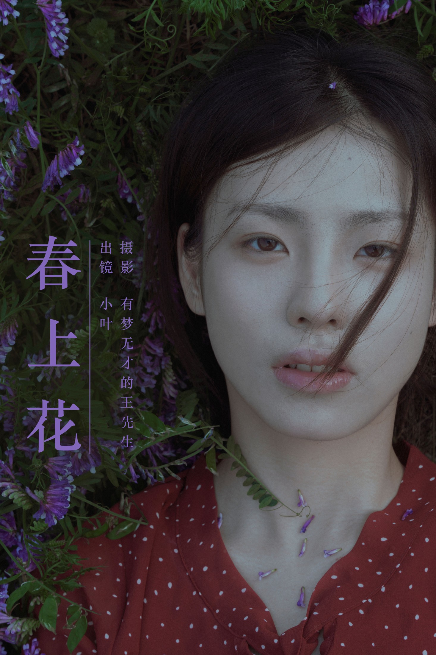 小叶 – 《春上花》[26P]
