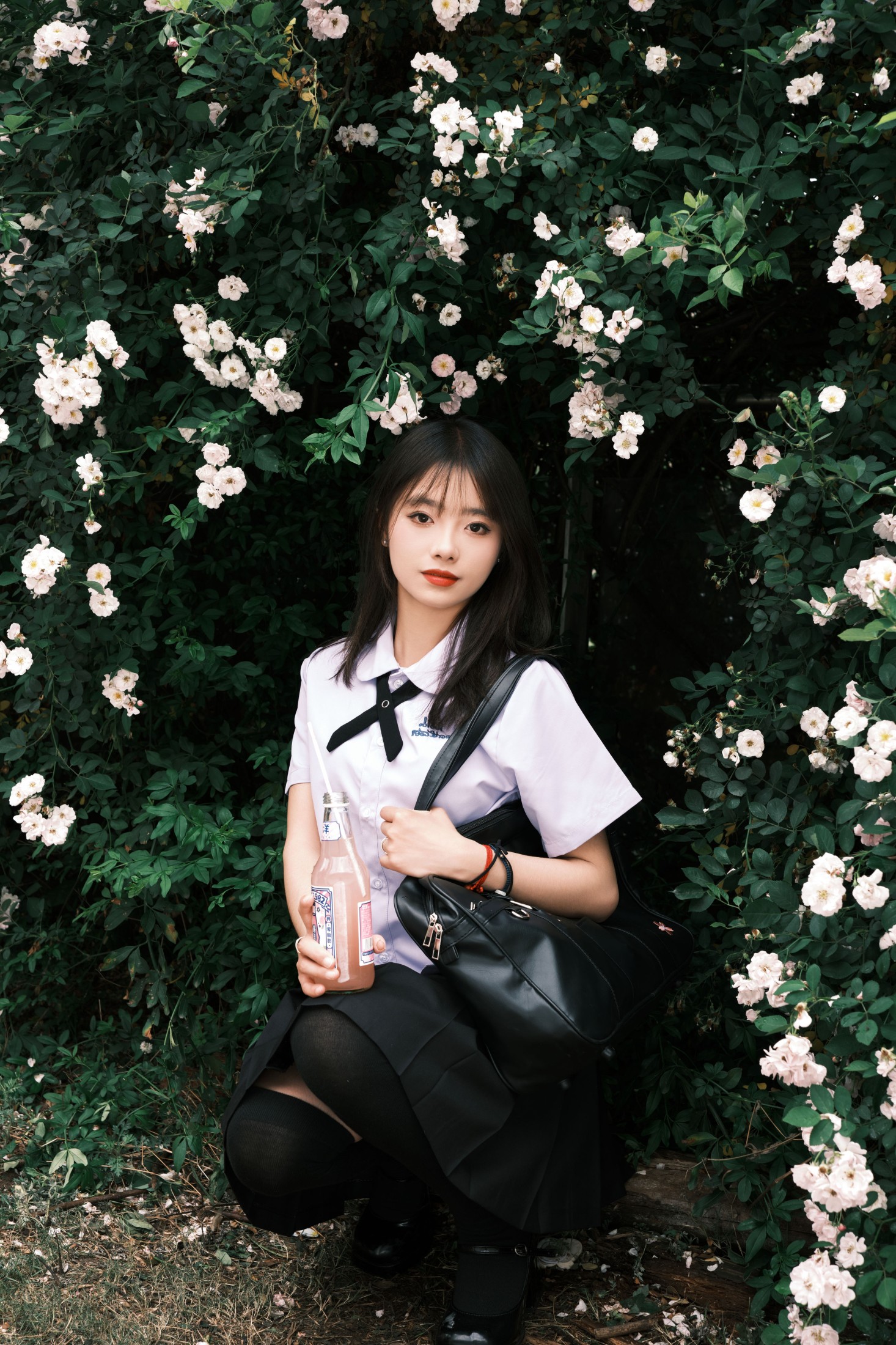 叶耶耶耶耶 – 《蔷薇少女》[25P]