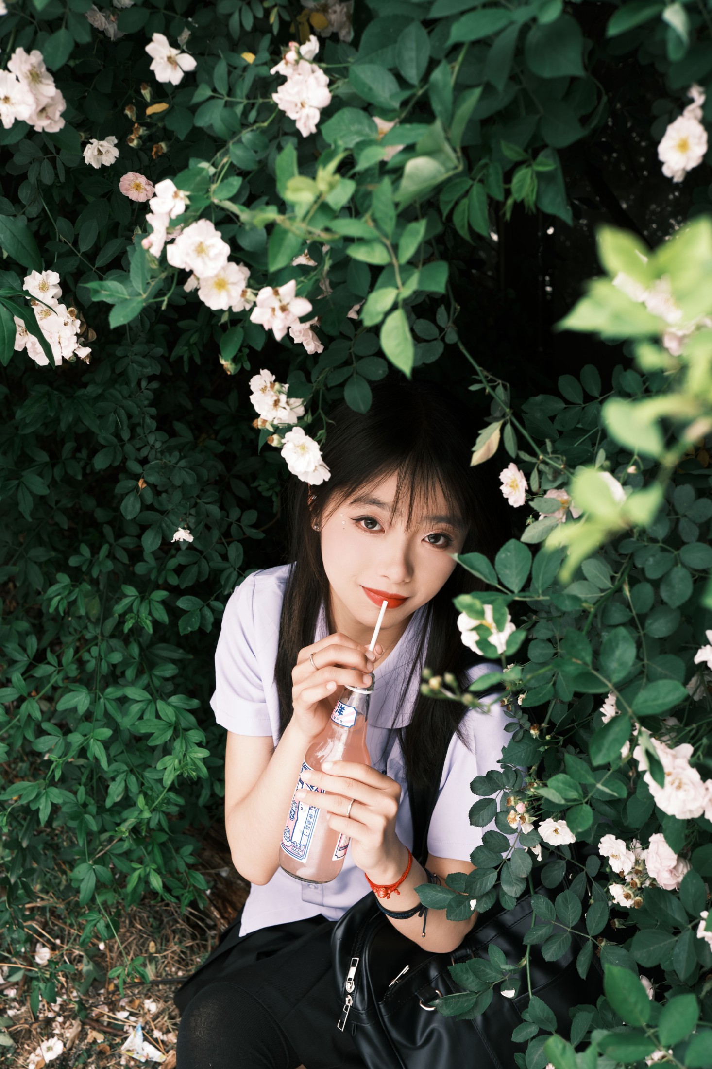 叶耶耶耶耶 – 《蔷薇少女》[25P]